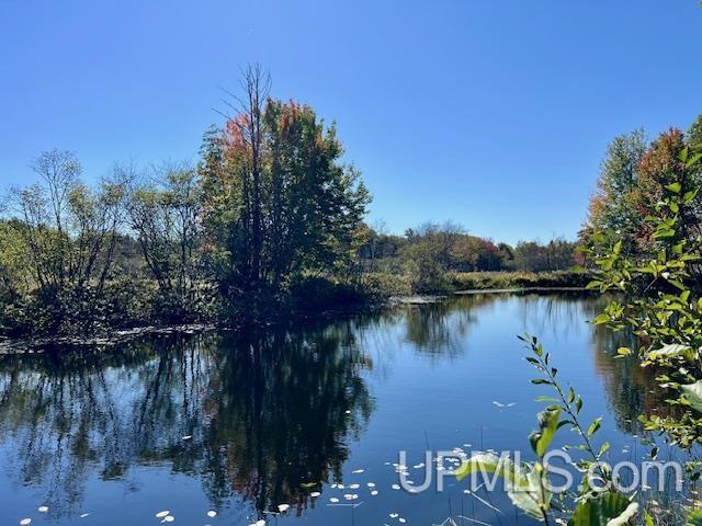 25307 Dover Road Calumet, MI 49913 - Photo 6 of 47