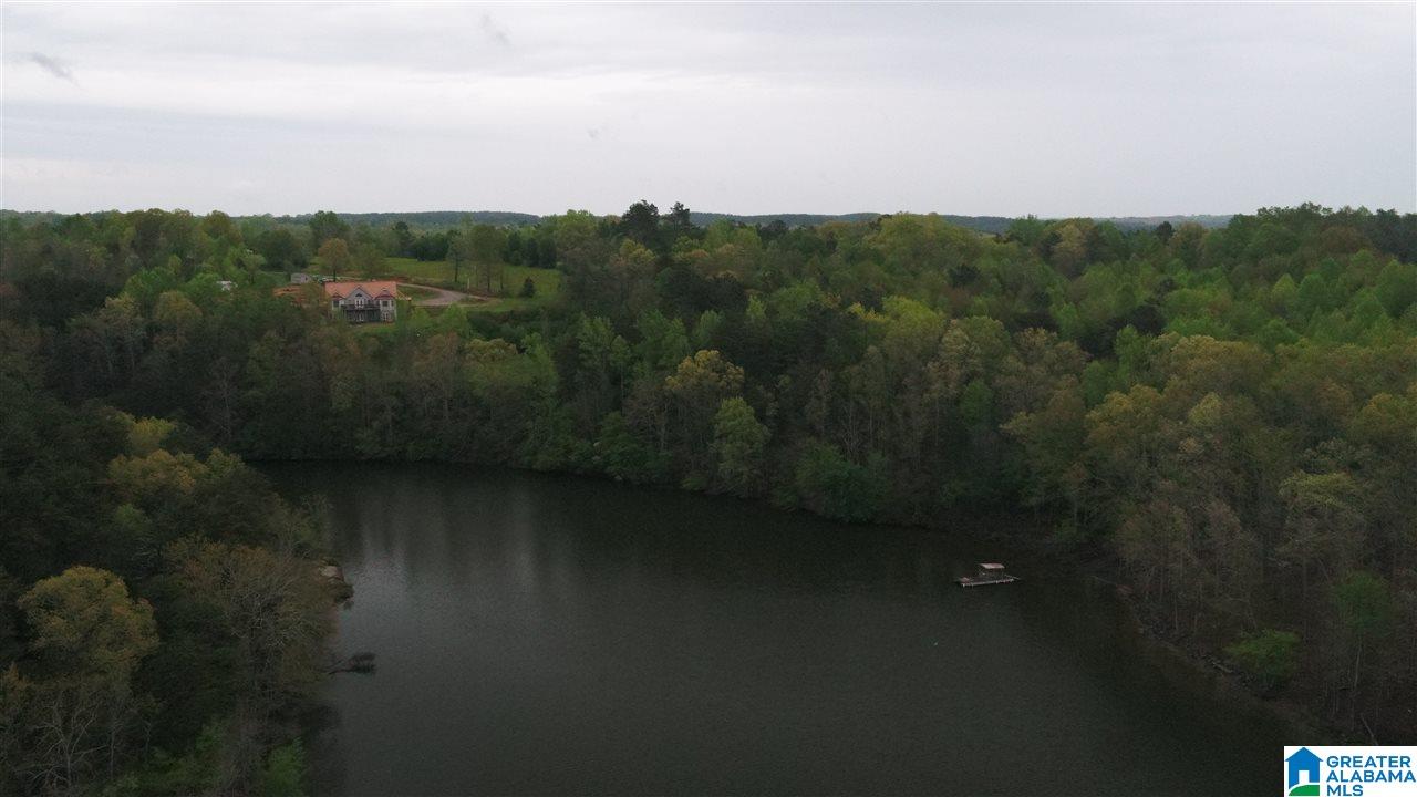 0 Dime Road, Unit 1 20 Haleyville, AL 35565 - Photo 3 of 14