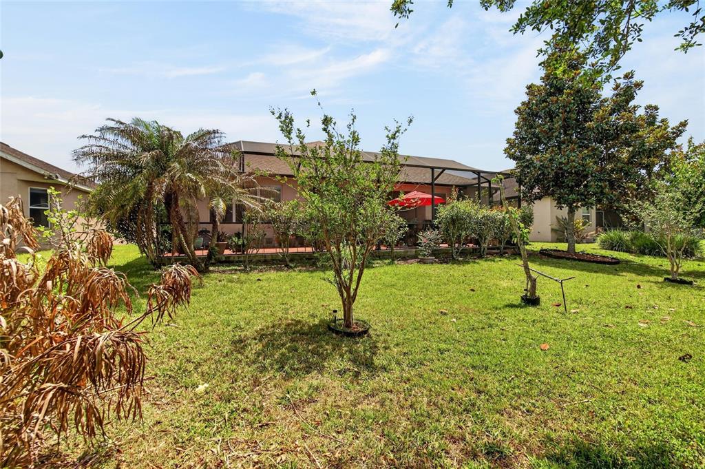 10232 Holland Road Riverview, FL 33578 - Photo 60 of 62