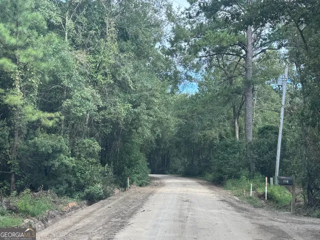 a view of a forest with trees in the background