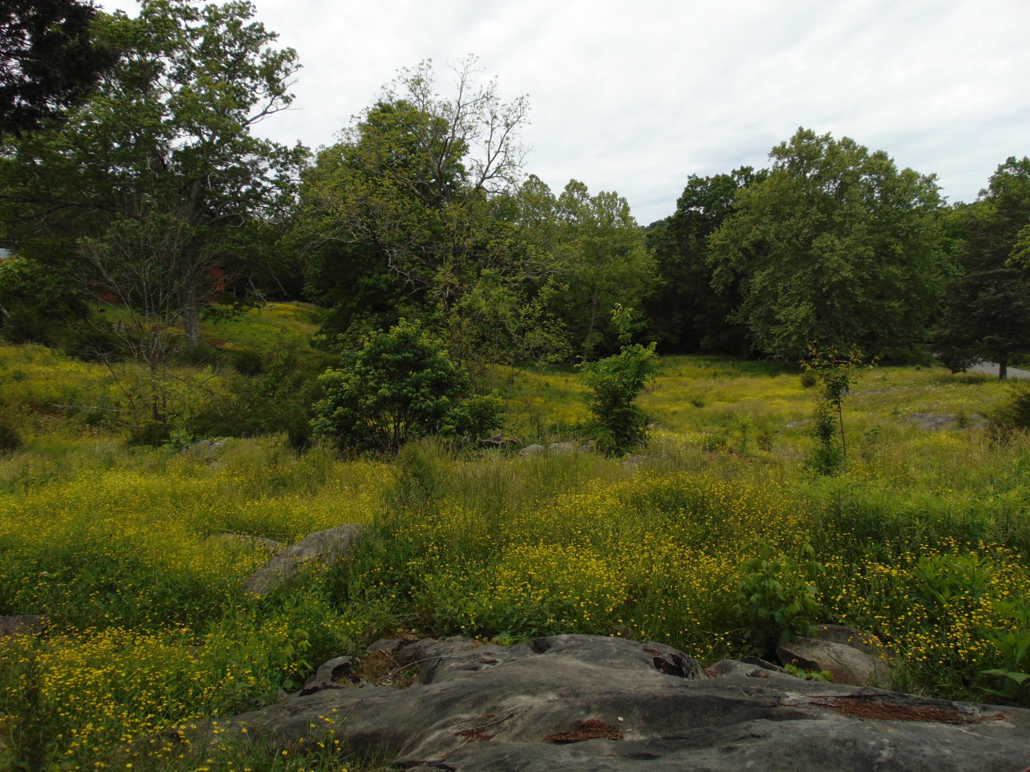 2547 Round Barn Road Powder Springs, TN 37848 - Photo 23 of 31
