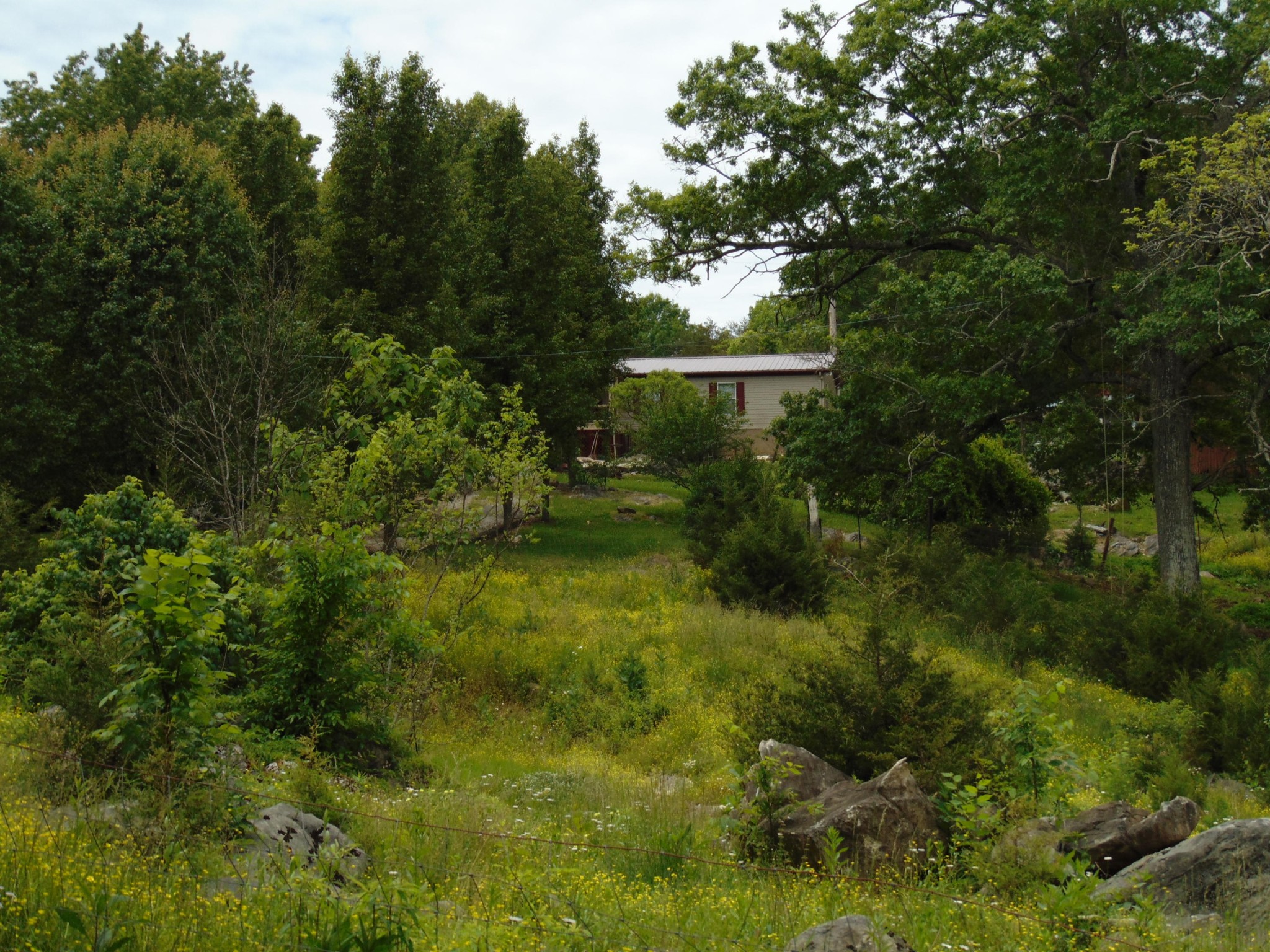 2547 Round Barn Road Powder Springs, TN 37848 - Photo 27 of 31