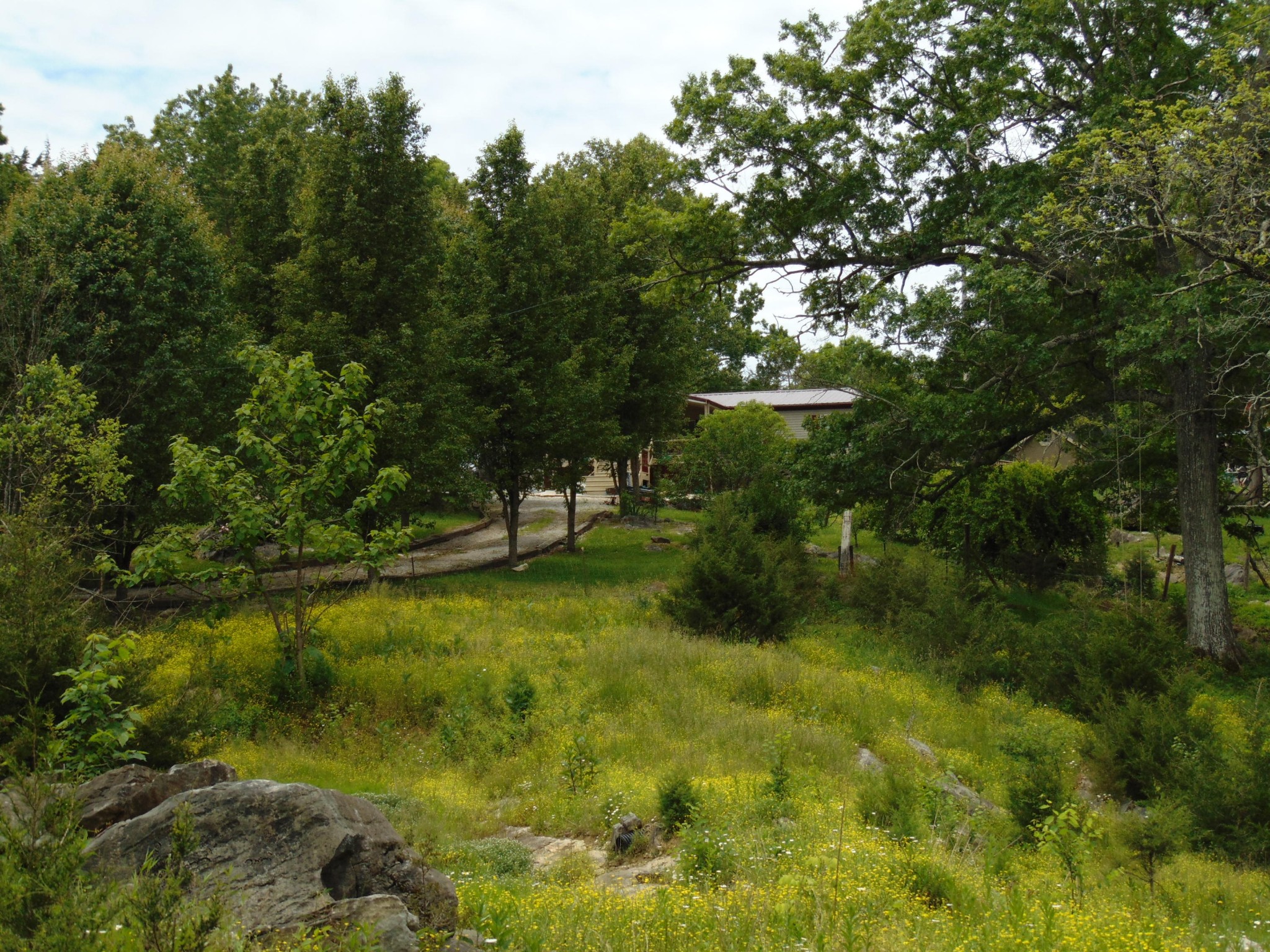2547 Round Barn Road Powder Springs, TN 37848 - Photo 28 of 31
