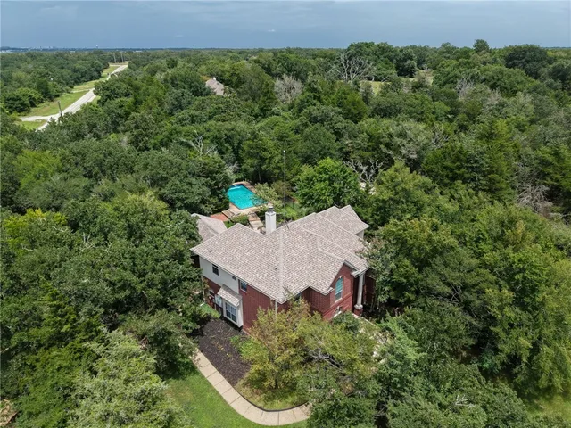 a view of a forest with a street