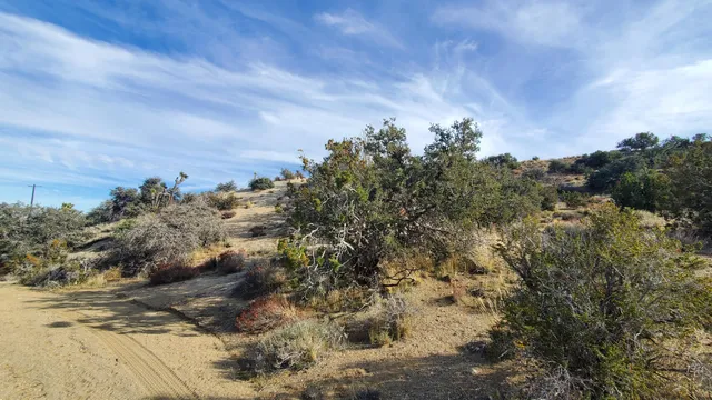 $49,500 | Ross Road, Juniper Hills, CA 93543