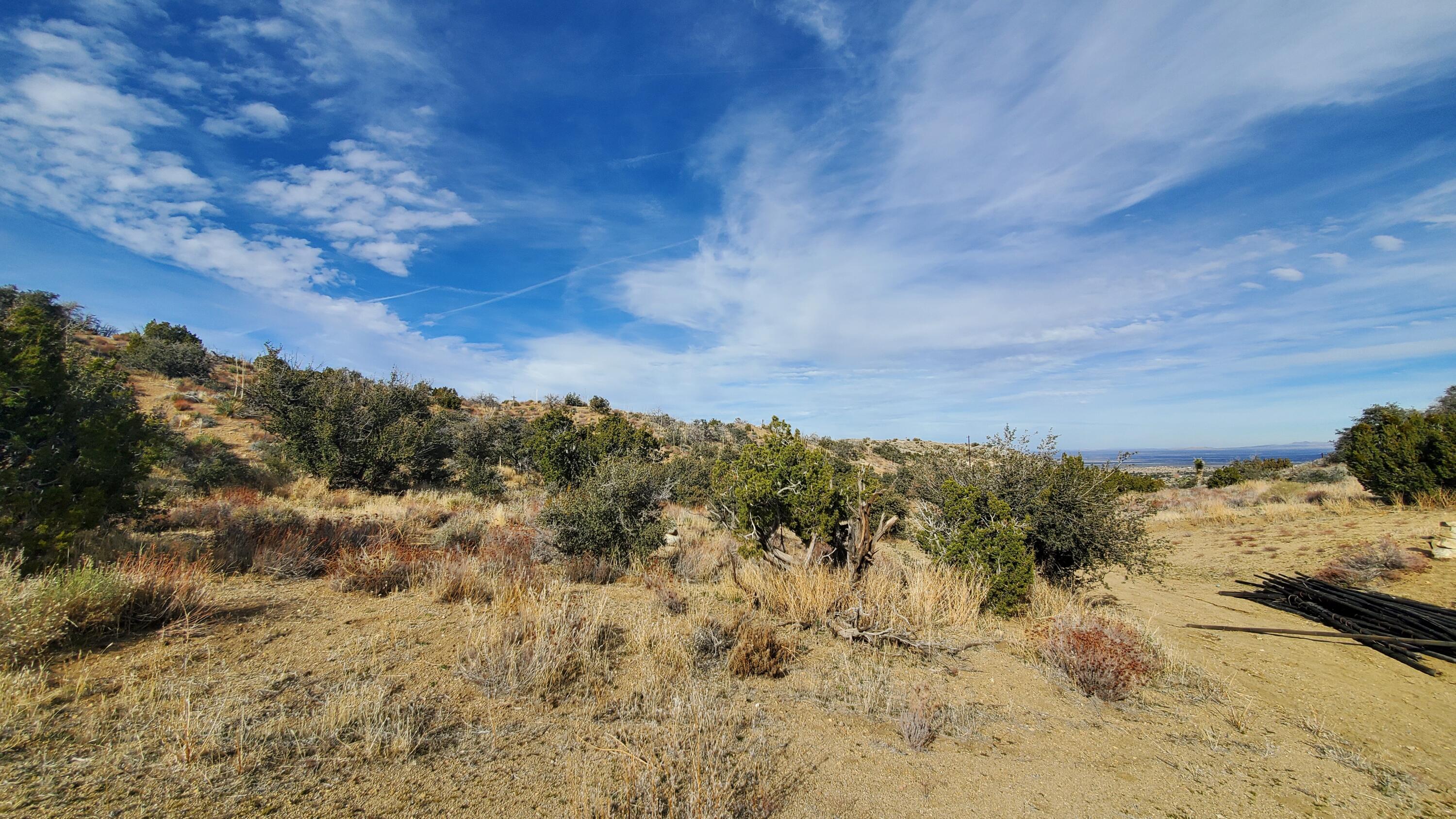 Ross Road Juniper Hills, CA 93543 - Photo 14 of 50