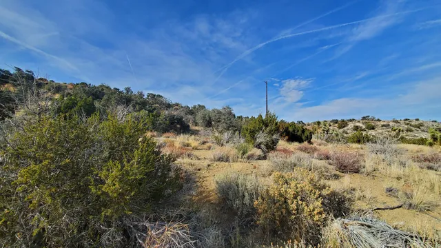 $49,500 | Ross Road, Juniper Hills, CA 93543