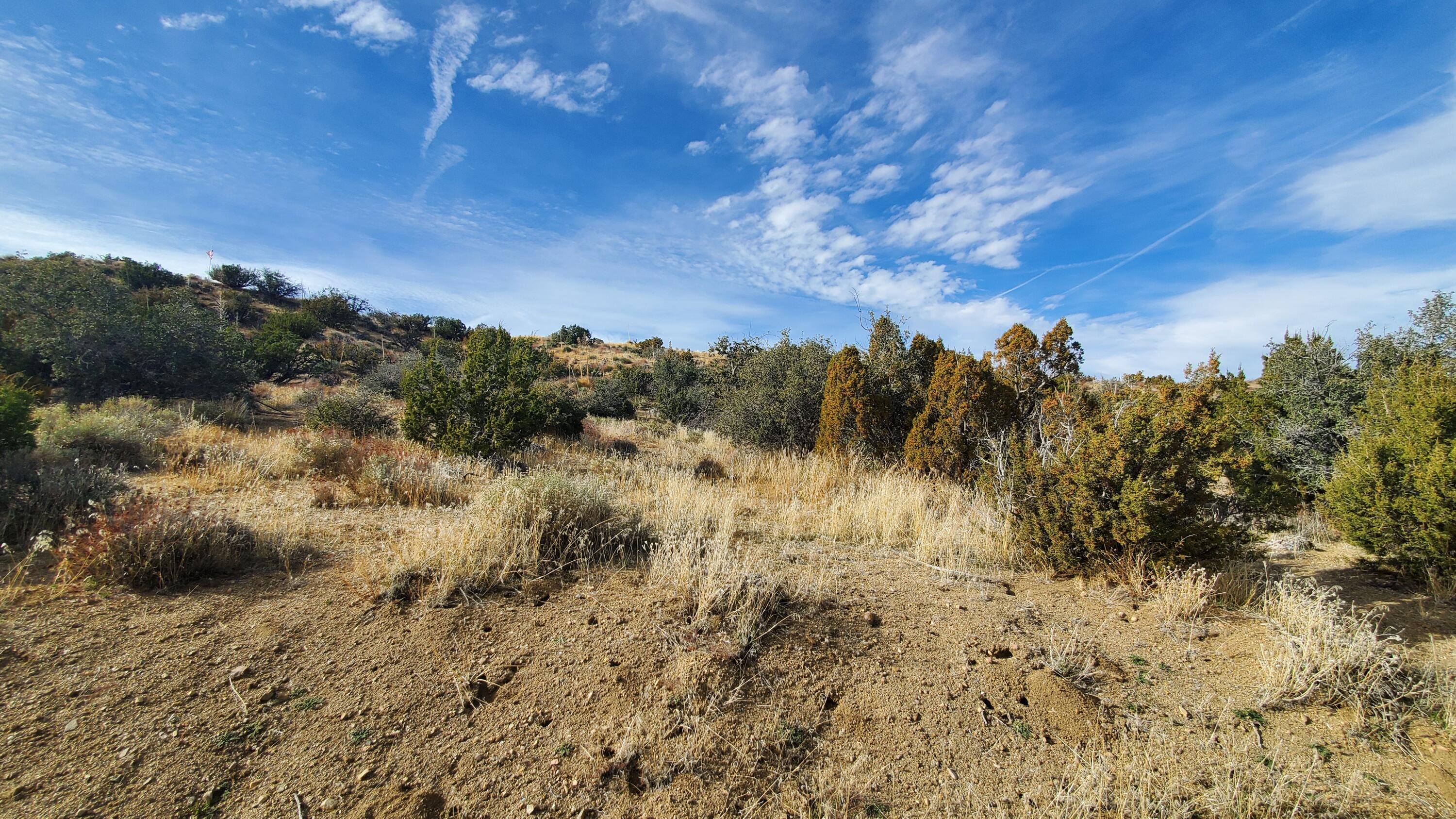 Ross Road Juniper Hills, CA 93543 - Photo 16 of 50 a view of a lake view