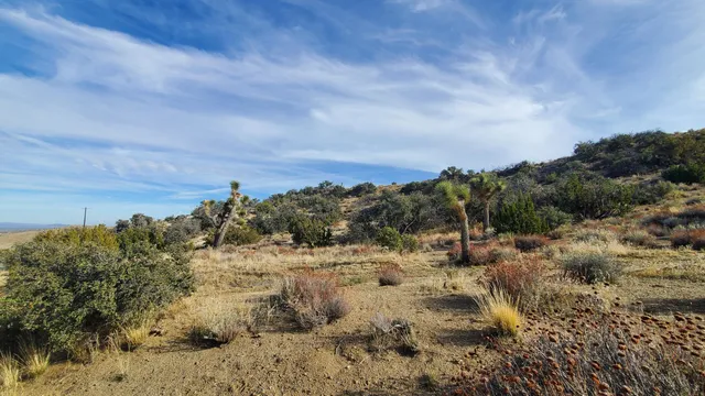 $49,500 | Ross Road, Juniper Hills, CA 93543