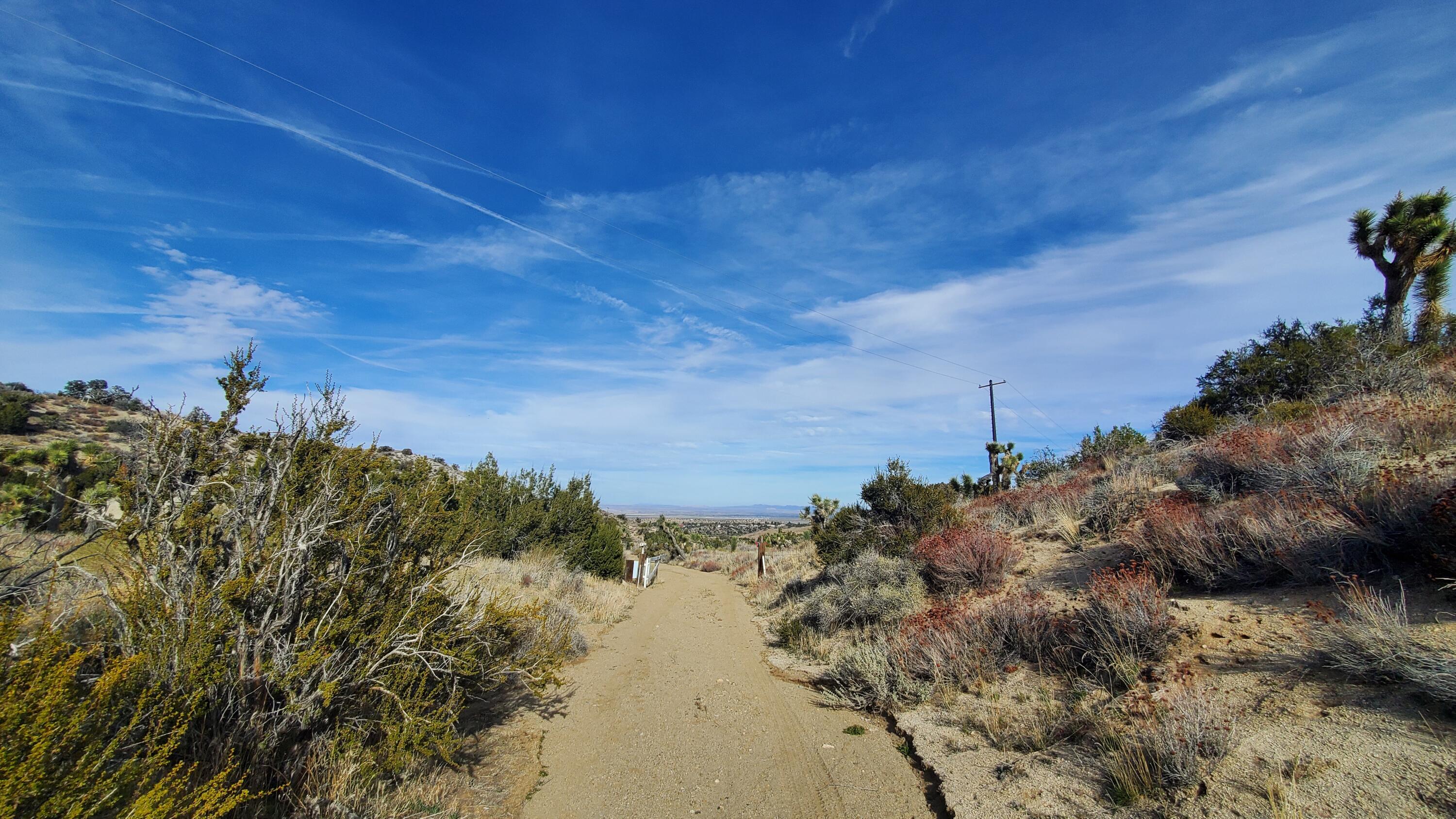 Ross Road Juniper Hills, CA 93543 - Photo 19 of 50 a view of a lake with a building in background