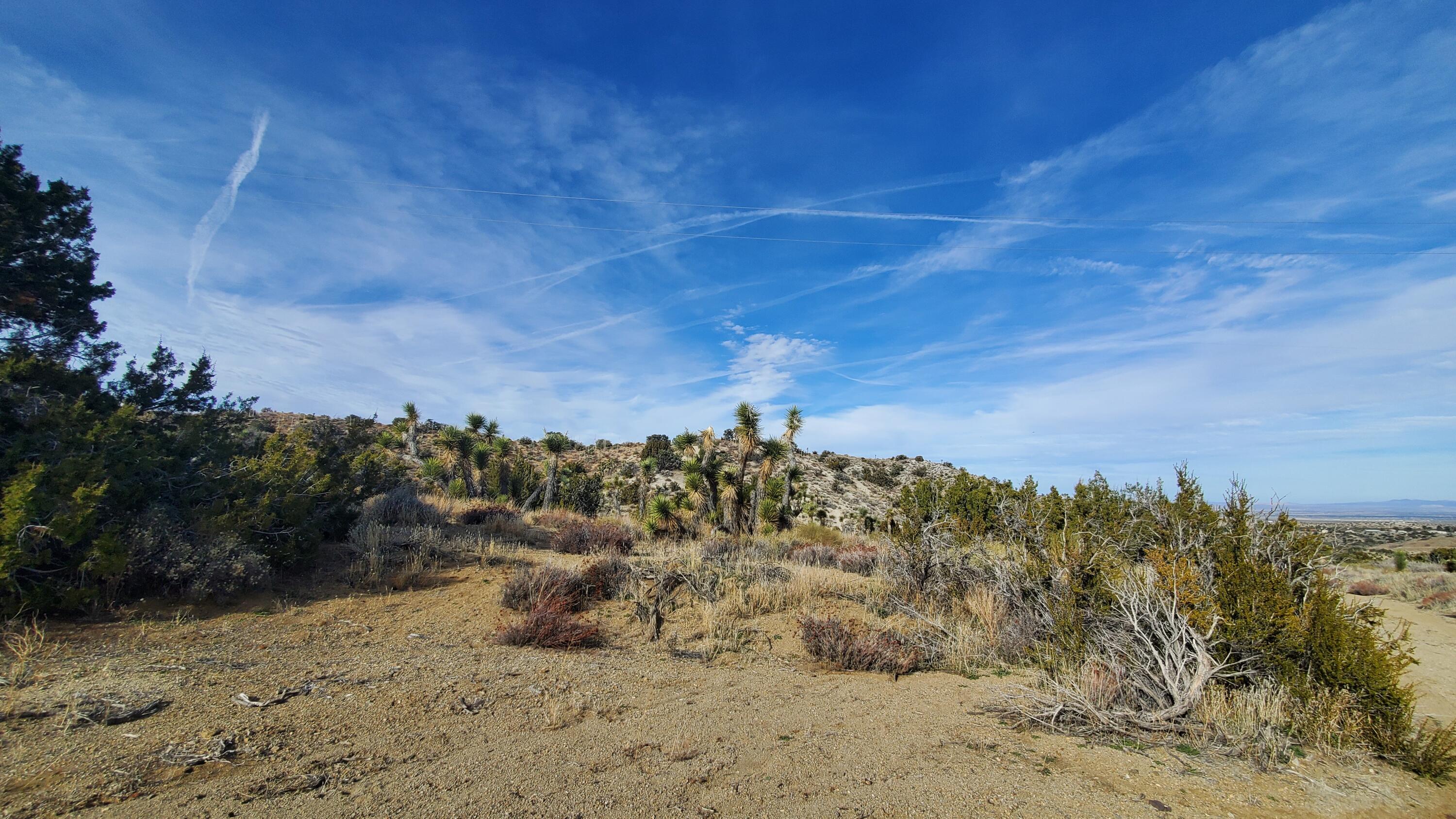 Ross Road Juniper Hills, CA 93543 - Photo 20 of 50 a view of a large building with a mountain in the background