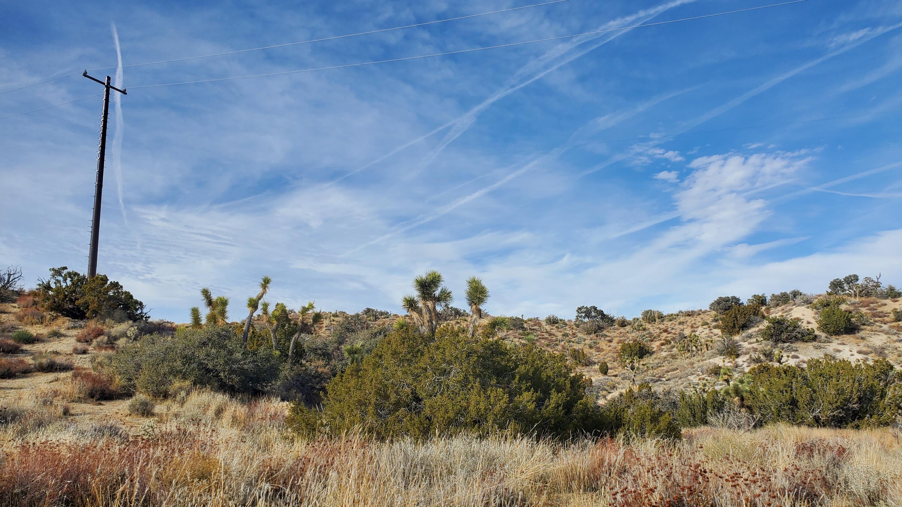 Ross Road Juniper Hills, CA 93543 - Photo 2 of 50