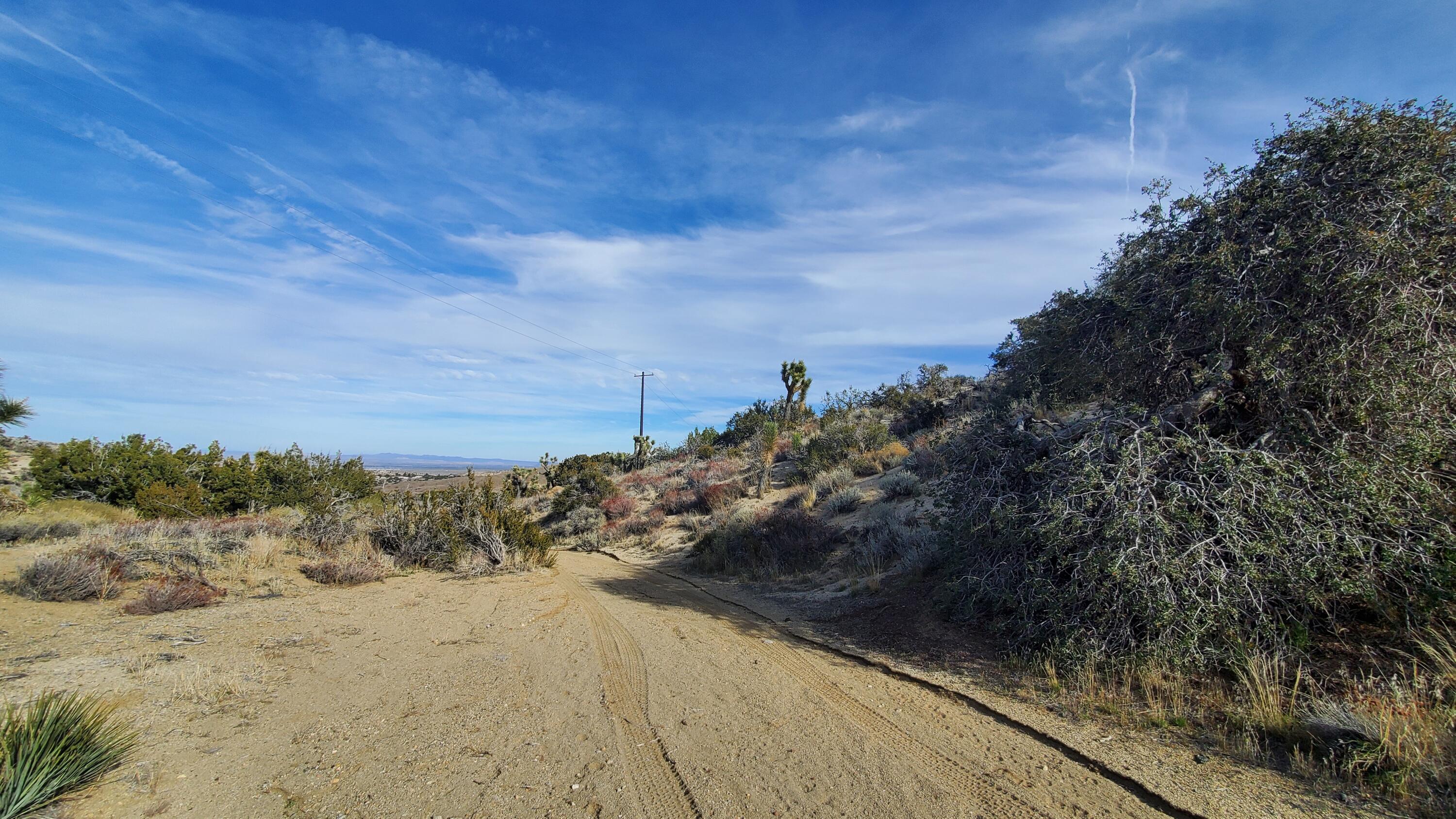 Ross Road Juniper Hills, CA 93543 - Photo 21 of 50