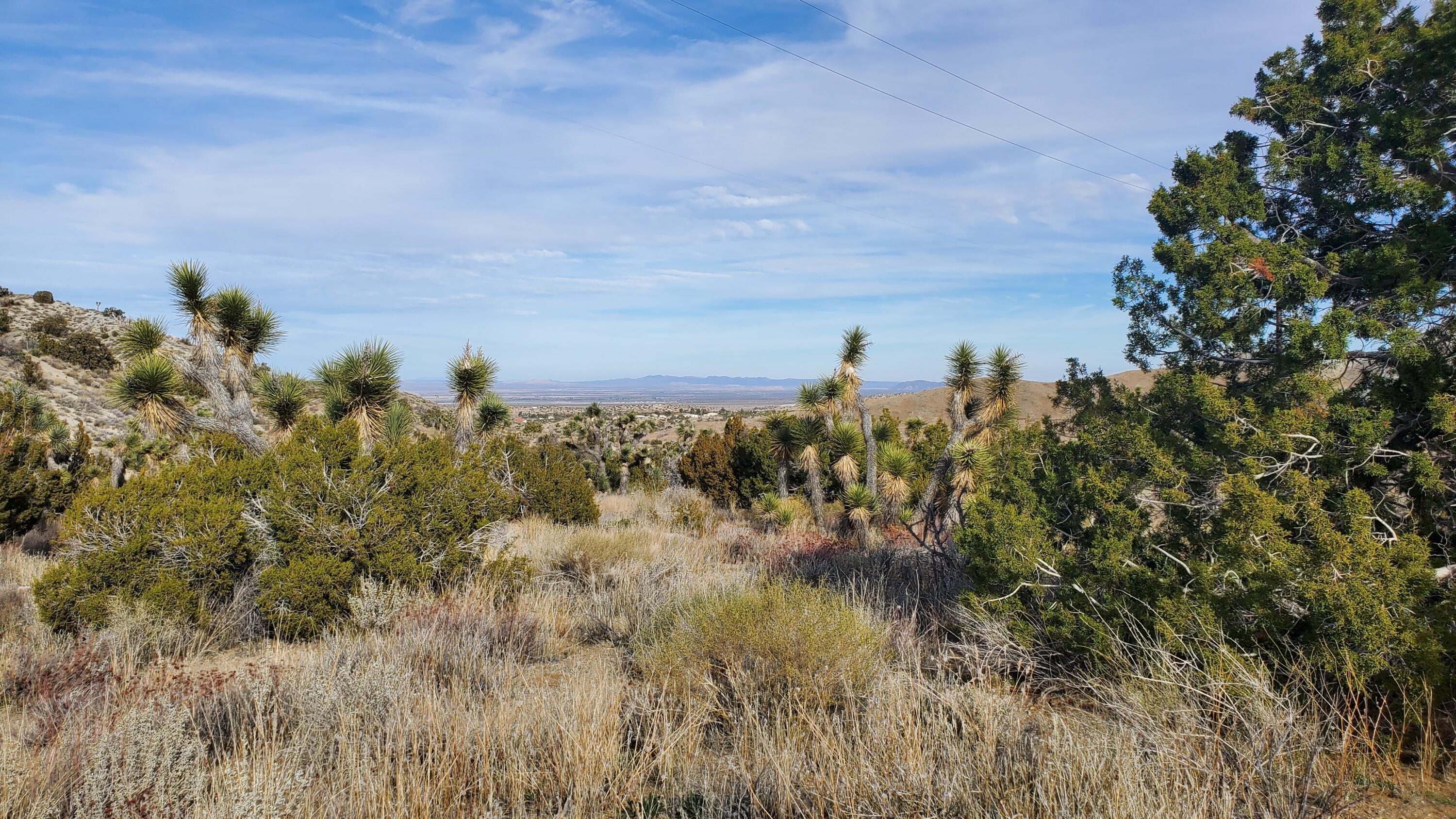 Ross Road Juniper Hills, CA 93543 - Photo 22 of 50 a view of a lake