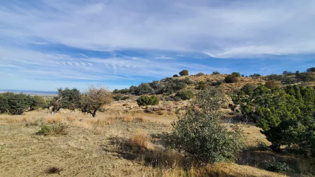 $49,500 | Ross Road, Juniper Hills, CA 93543