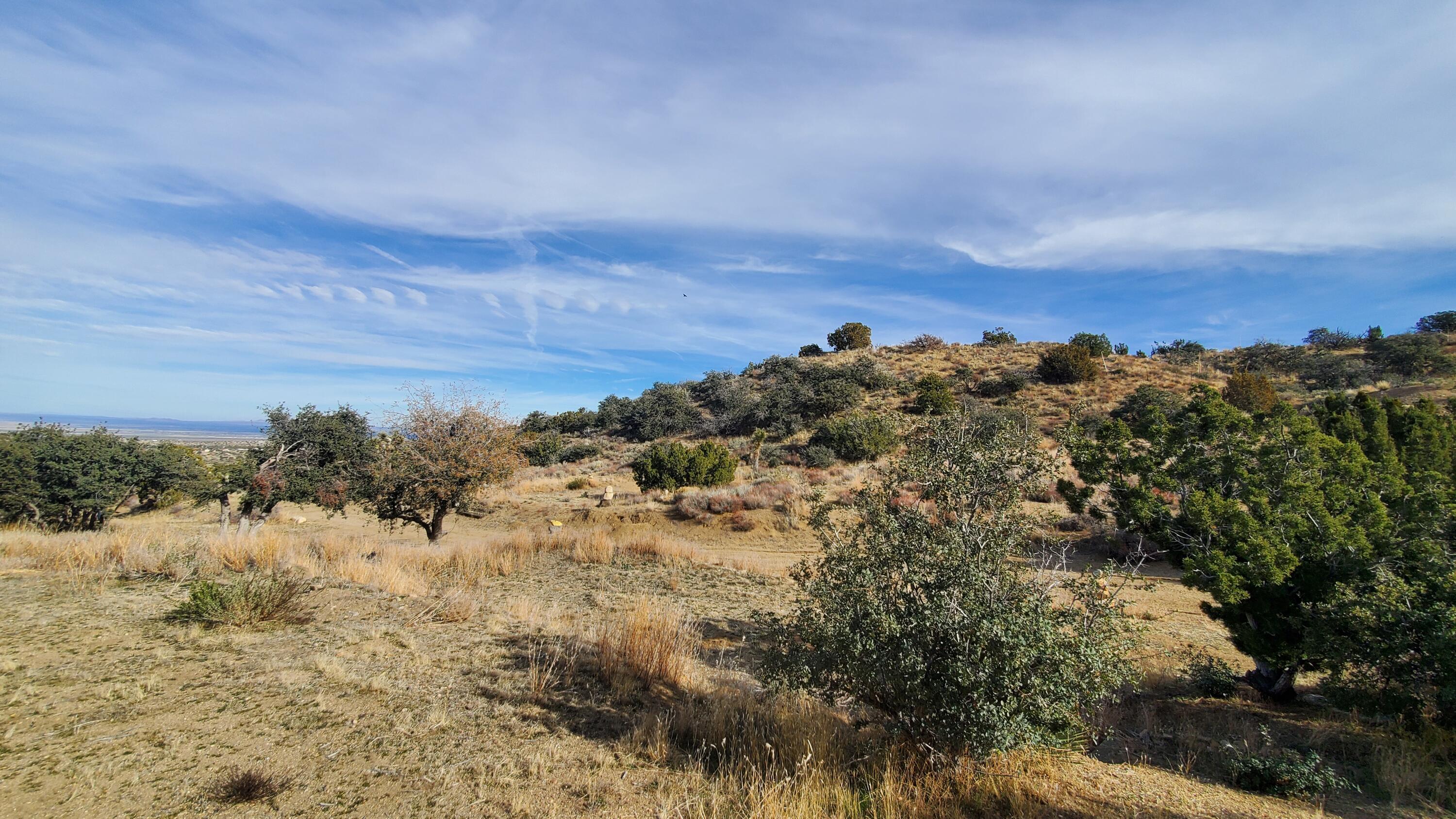 Ross Road Juniper Hills, CA 93543 - Photo 32 of 50 a view of a sky