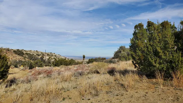 $49,500 | Ross Road, Juniper Hills, CA 93543