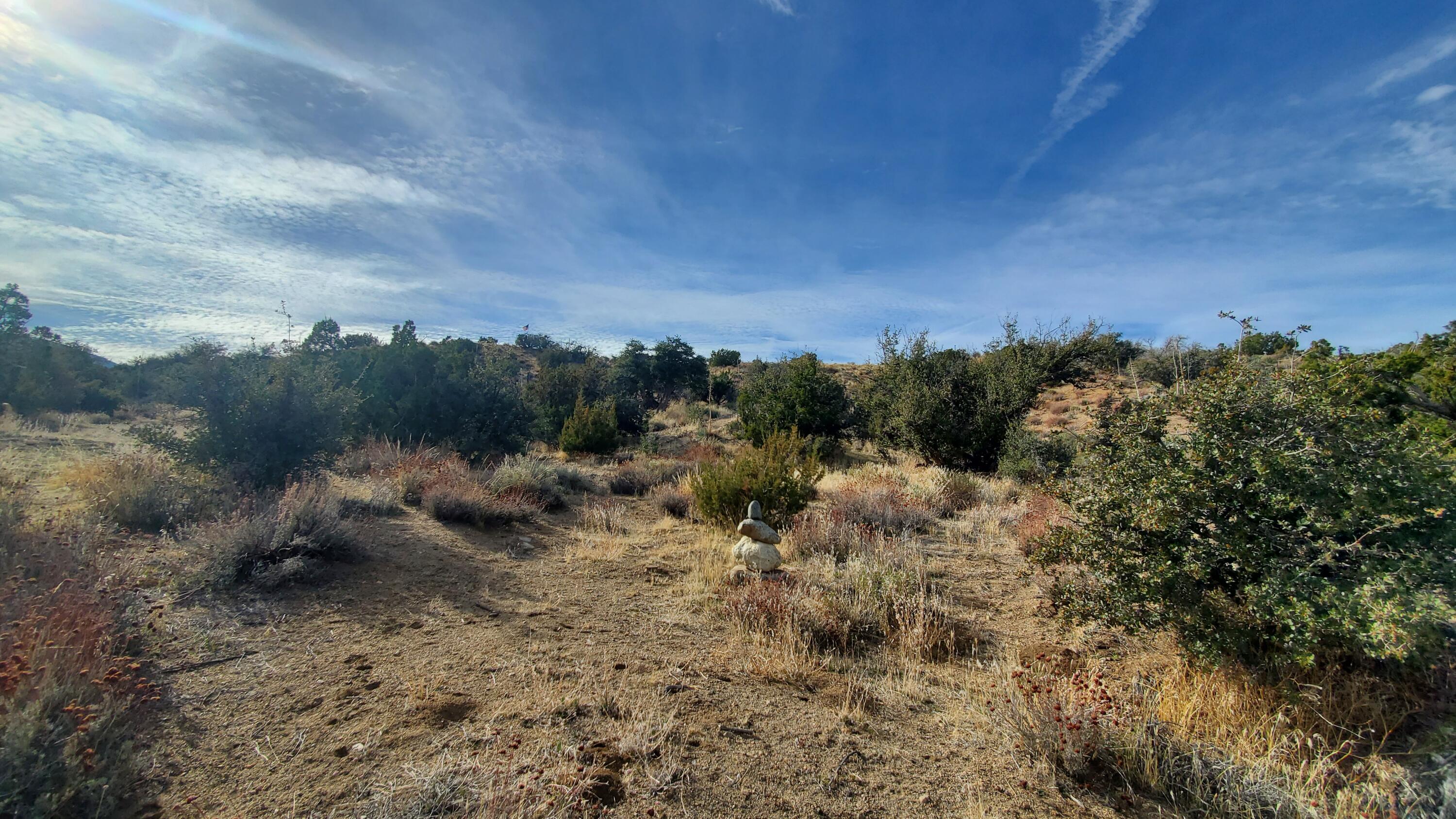 Ross Road Juniper Hills, CA 93543 - Photo 38 of 50 a view of a dry yard with lots of trees