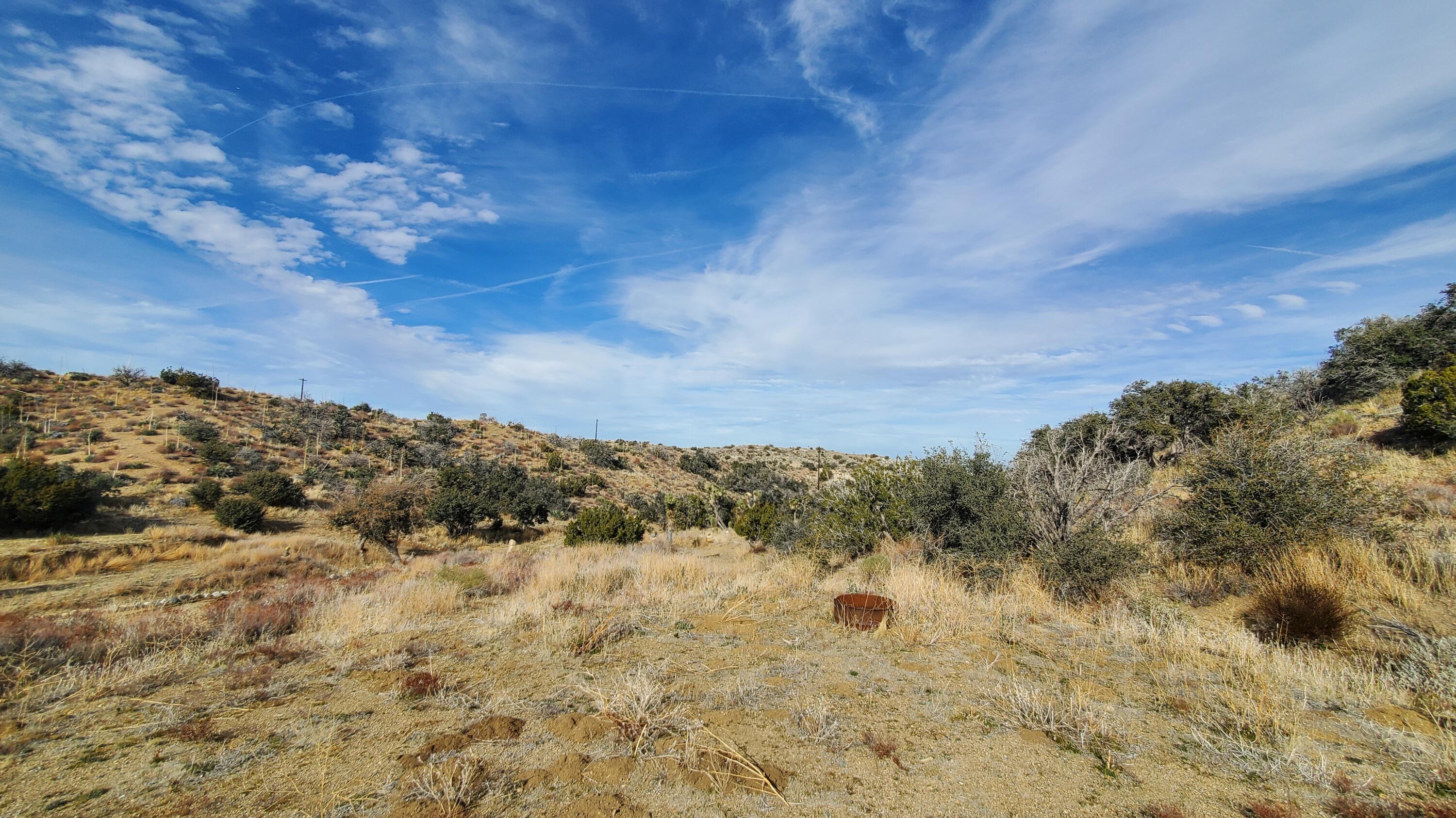 Ross Road Juniper Hills, CA 93543 - Photo 40 of 50 a view of a field with trees in the background