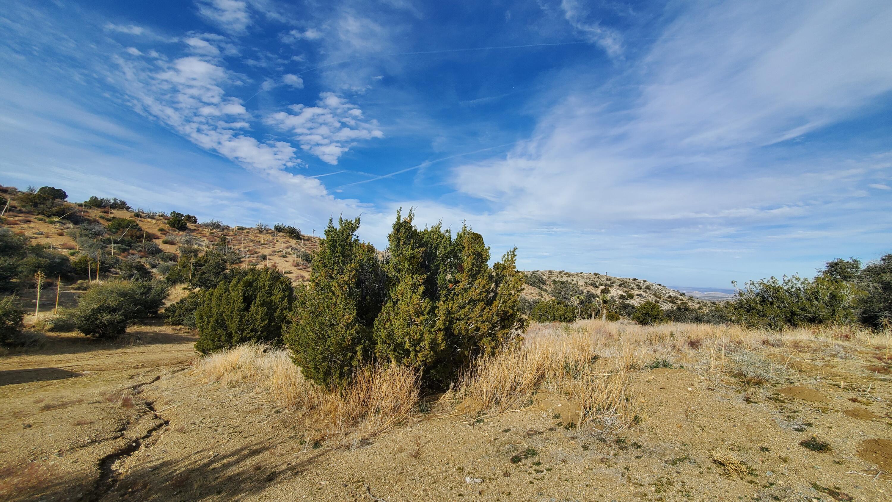 Ross Road Juniper Hills, CA 93543 - Photo 41 of 50 a view of mountain view with trees