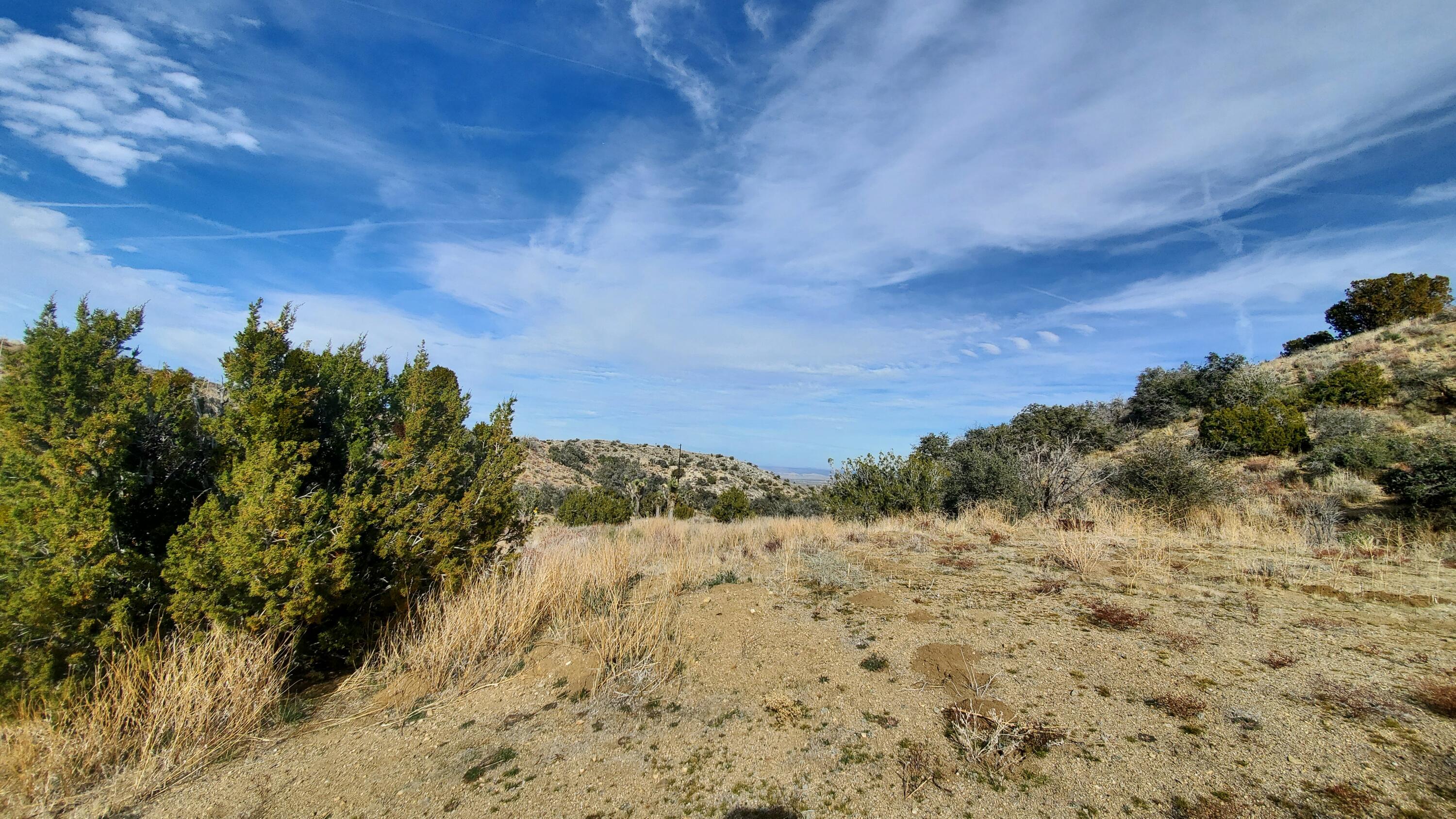 Ross Road Juniper Hills, CA 93543 - Photo 42 of 50 a view of mountain view with wooden fencing