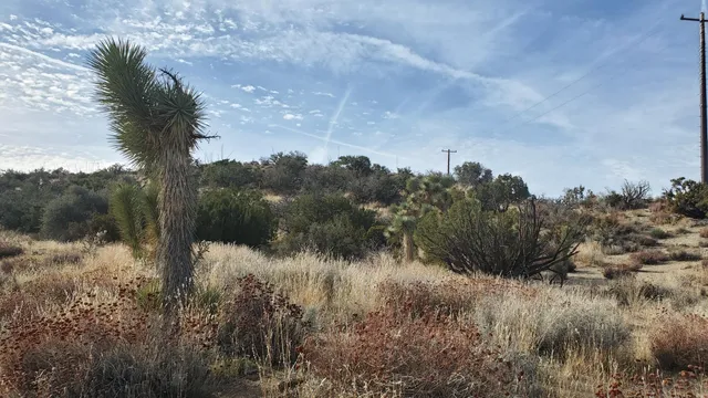 $49,500 | Ross Road, Juniper Hills, CA 93543