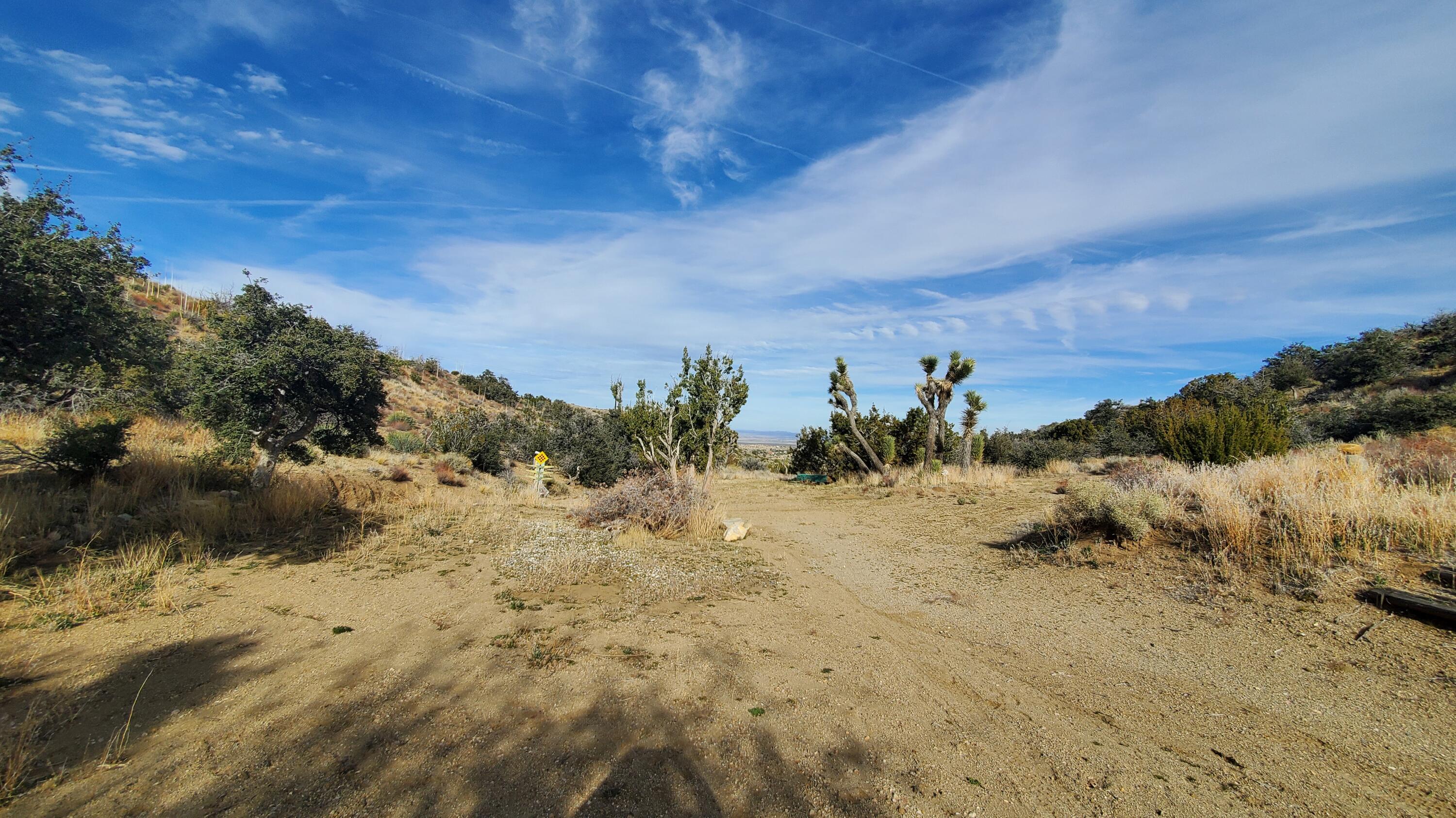 Ross Road Juniper Hills, CA 93543 - Photo 10 of 50 a view of a dry yard with trees