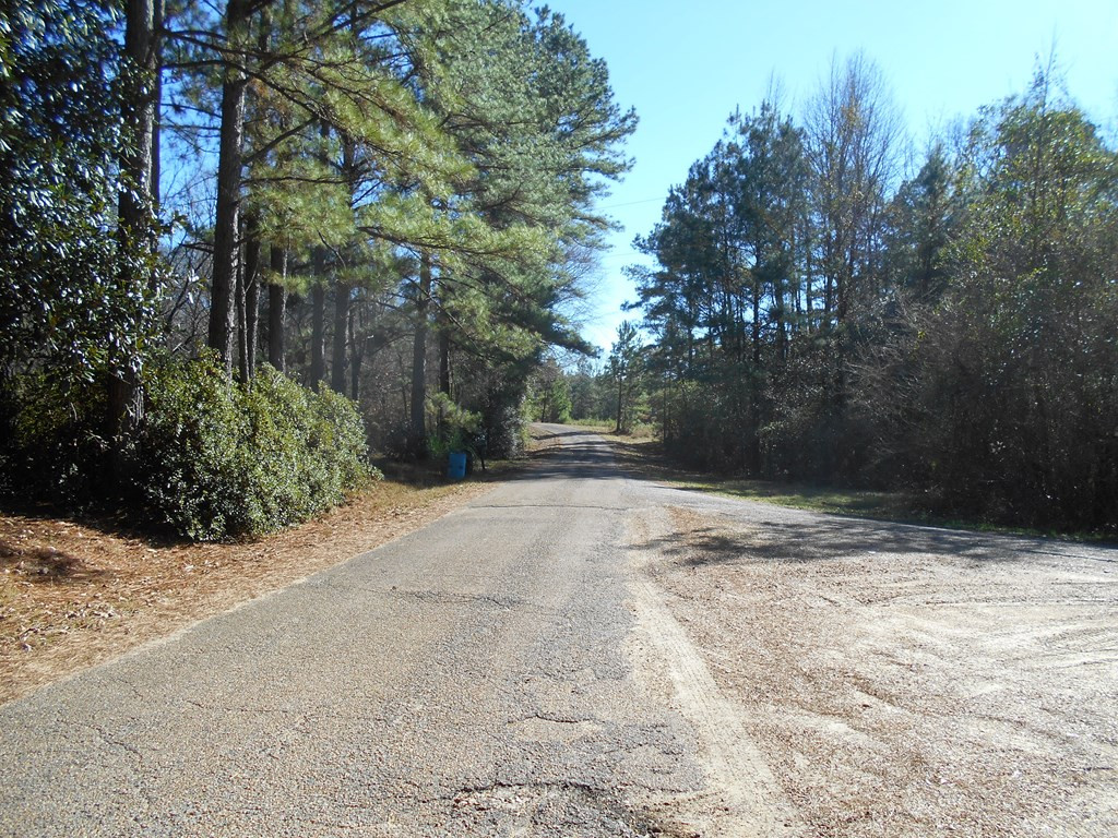 3995 Allen Road Smithdale, MS 39664 - Photo 7 of 7 Photo 7