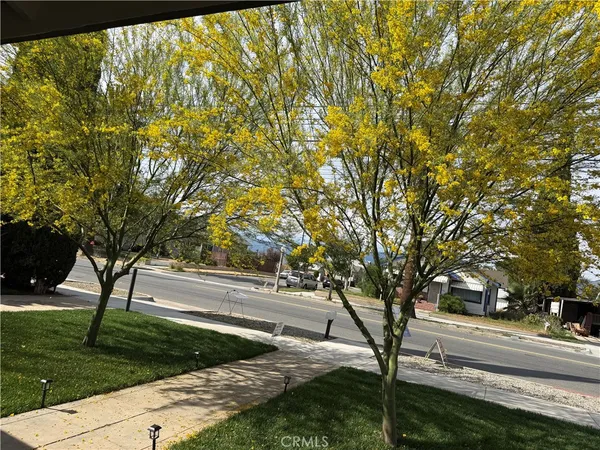 a view of a backyard