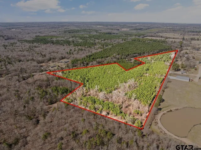 $35,000 | Lot 11 Cr 1350 Pittsburg Tx 75686, Pittsburg, TX 75686