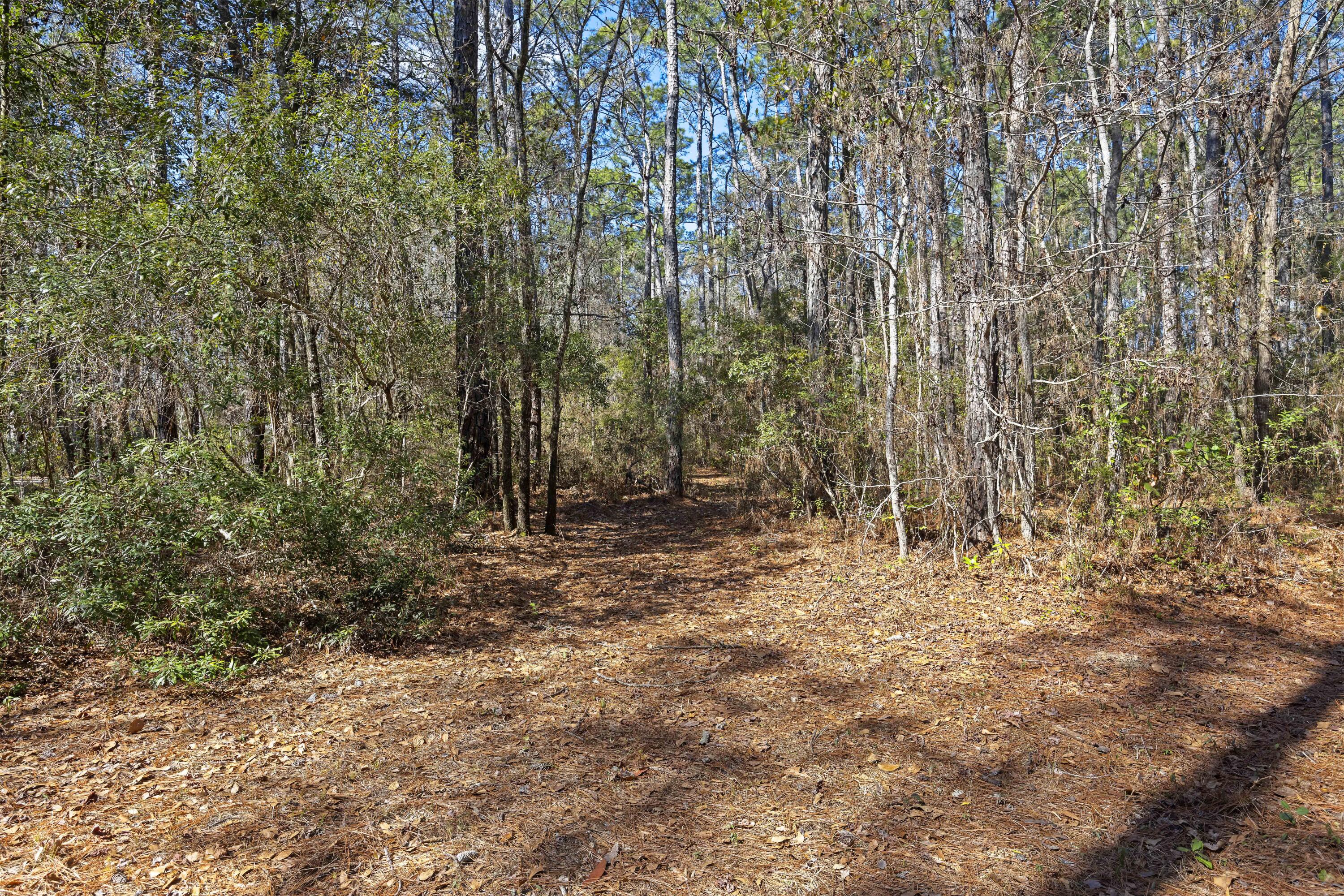 9168 Old Georgetown Road McClellanville, SC 29458 - Photo 31 of 45 243A0279