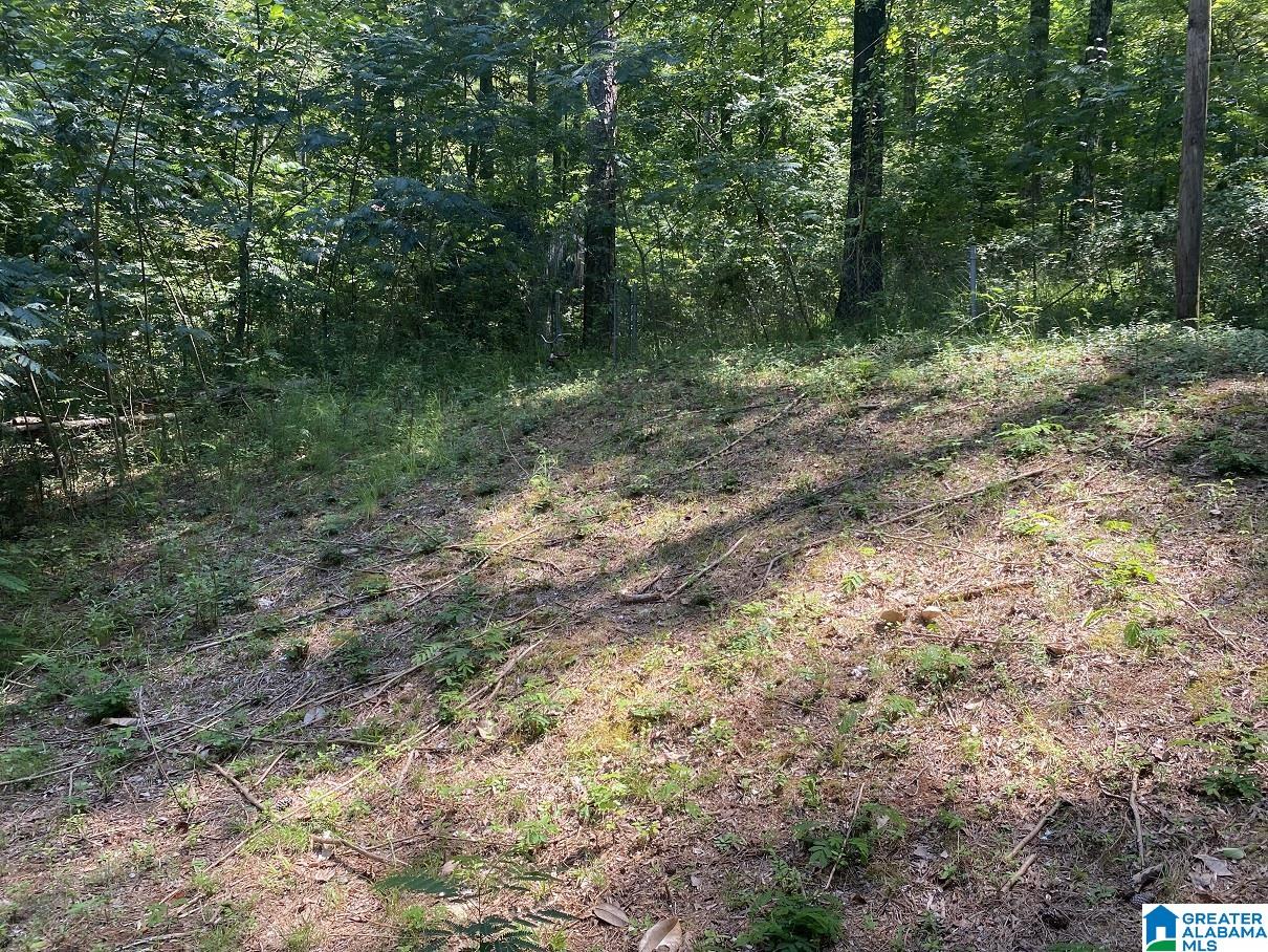 7333 Lake In The Woods Road Trussville, AL 35173 - Photo 6 of 23