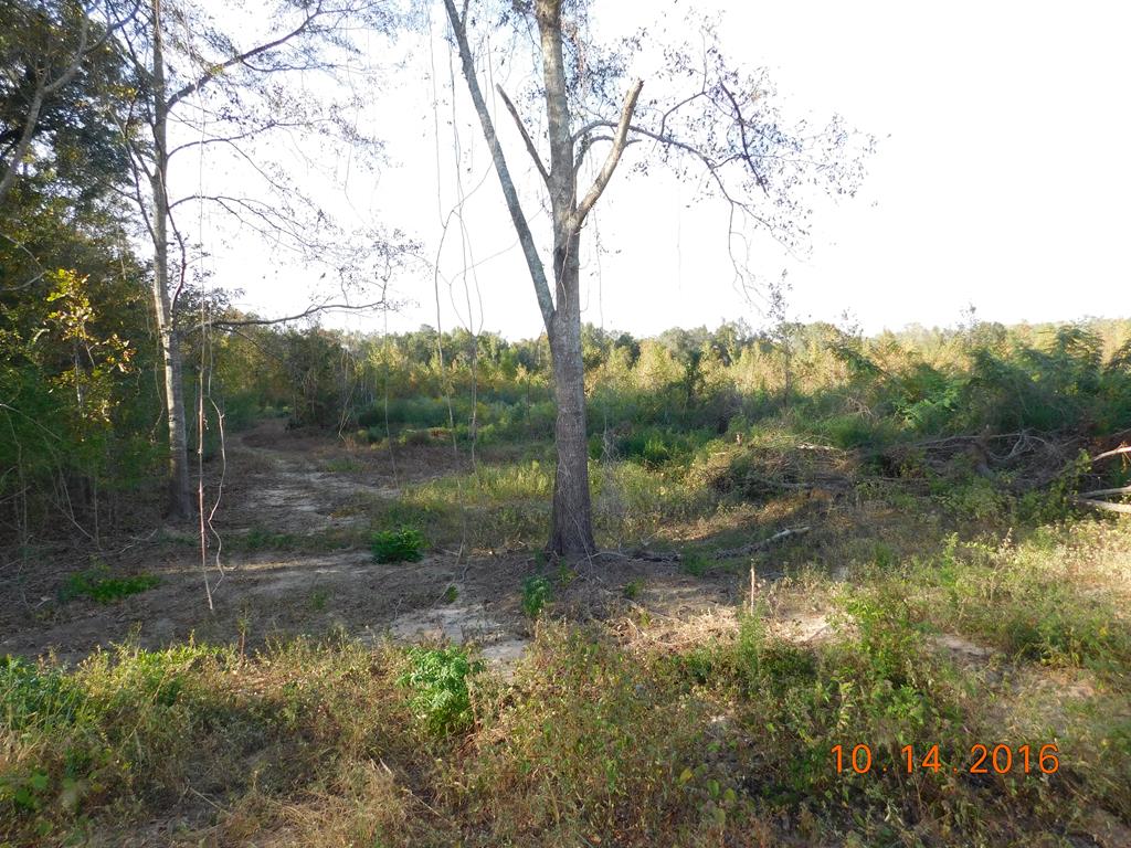 Lot 11 Patterson Road Dothan, AL 36301 - Photo 1 of 1