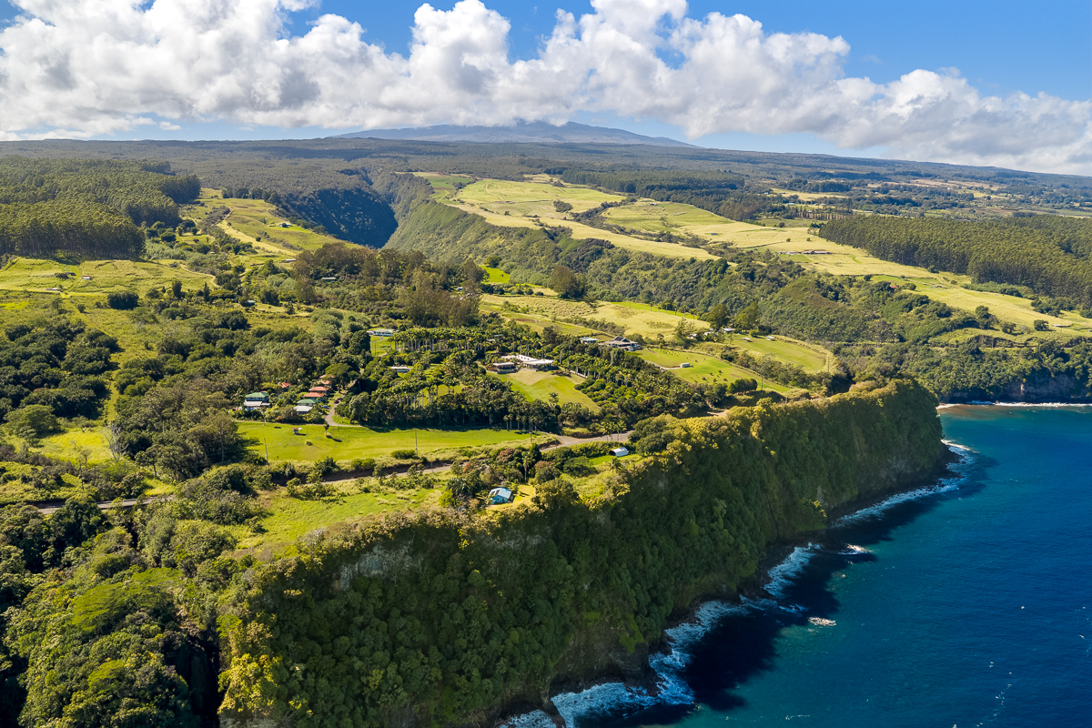 a view of a lake with a mountain
