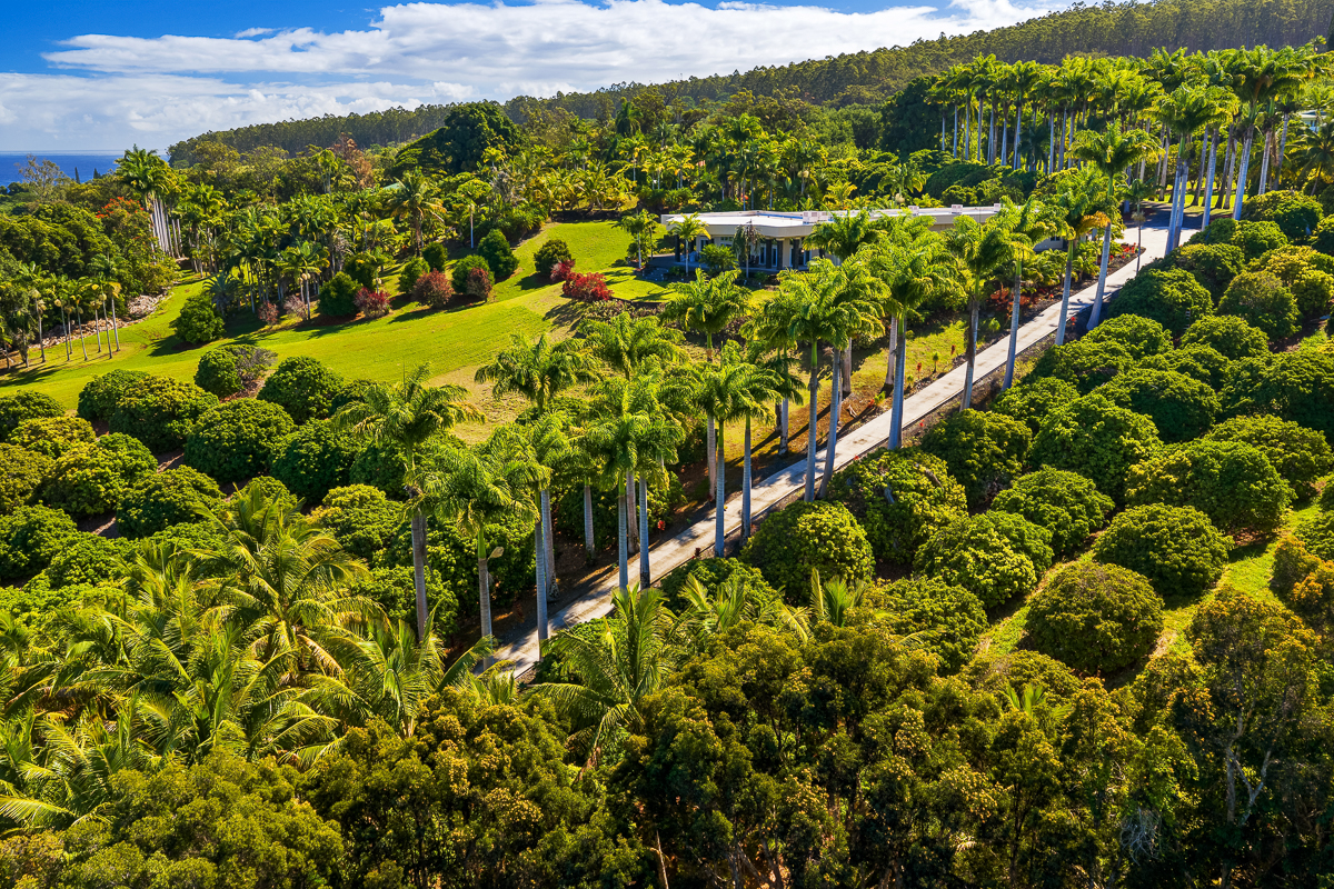 34-144 Kaihuiki Road Ninole, HI 96773 - Photo 23 of 25 a view of a garden