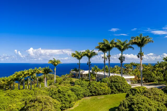 a view of a flower in a garden