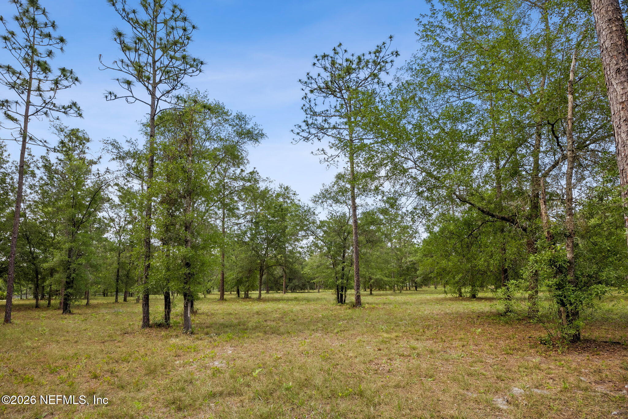 6015 Plantation Court Keystone Heights, FL 32656 - Photo 1 of 16 4-web-or-mls-6015 Plantation Ct-4