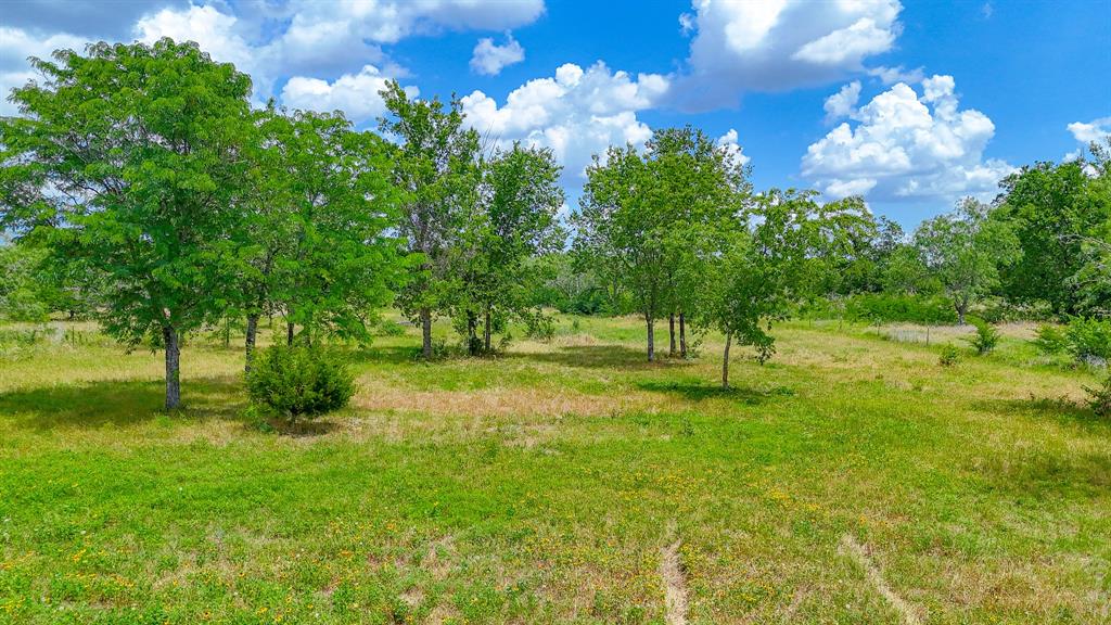 Lot 123 Palmito Ranch Road Corsicana, TX 75110 - Photo 13 of 23 a view of a trees with a yard