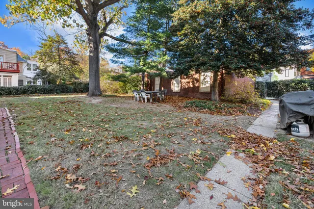 a view of a yard with plants and trees