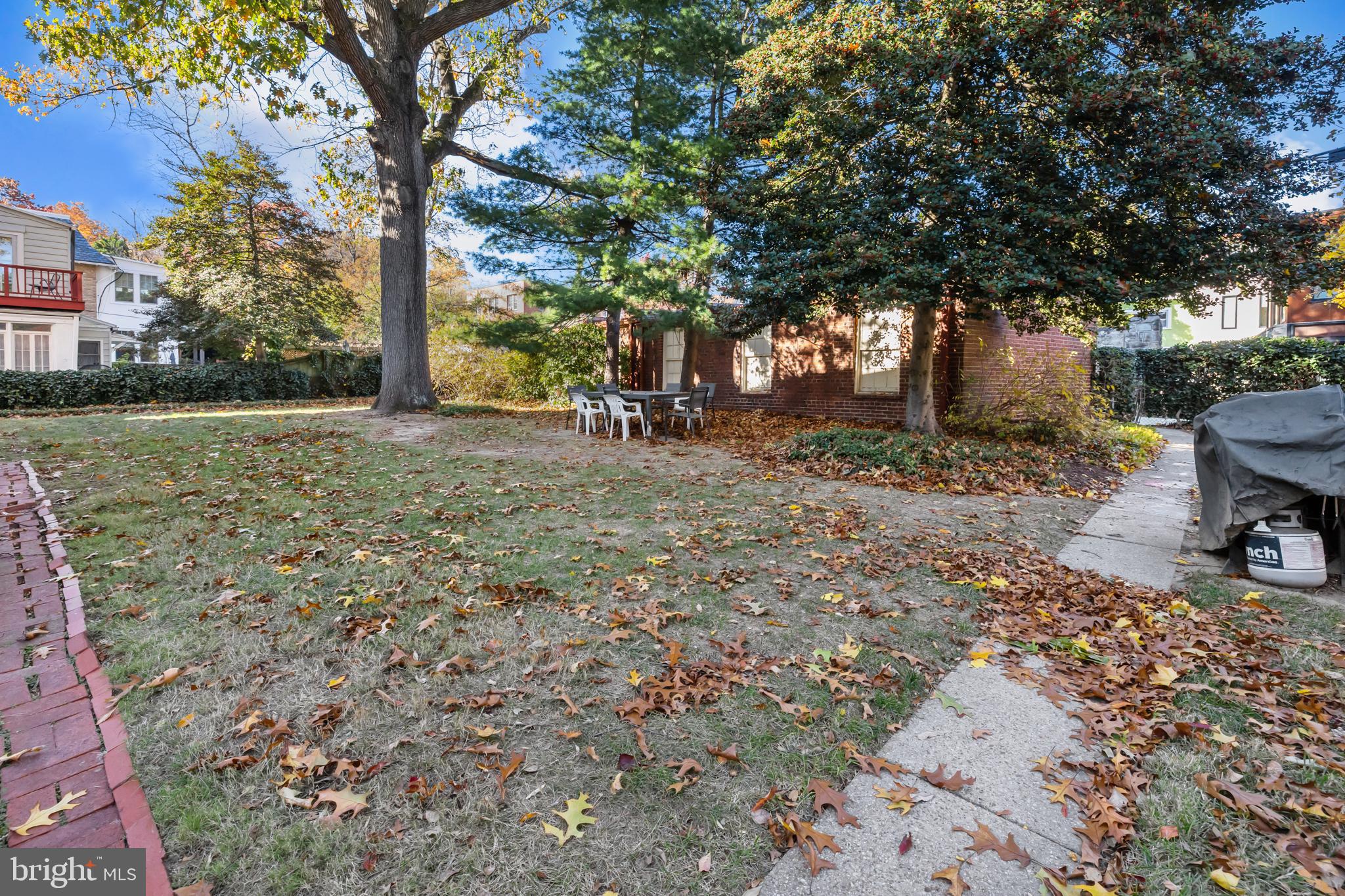 3001 Porter Street Northwest, Unit 100 Washington, DC 20008 - Photo 18 of 22 a view of a yard with plants and trees
