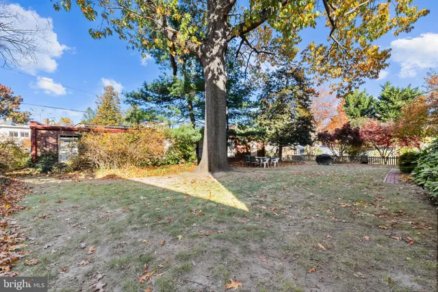 a view of road with trees