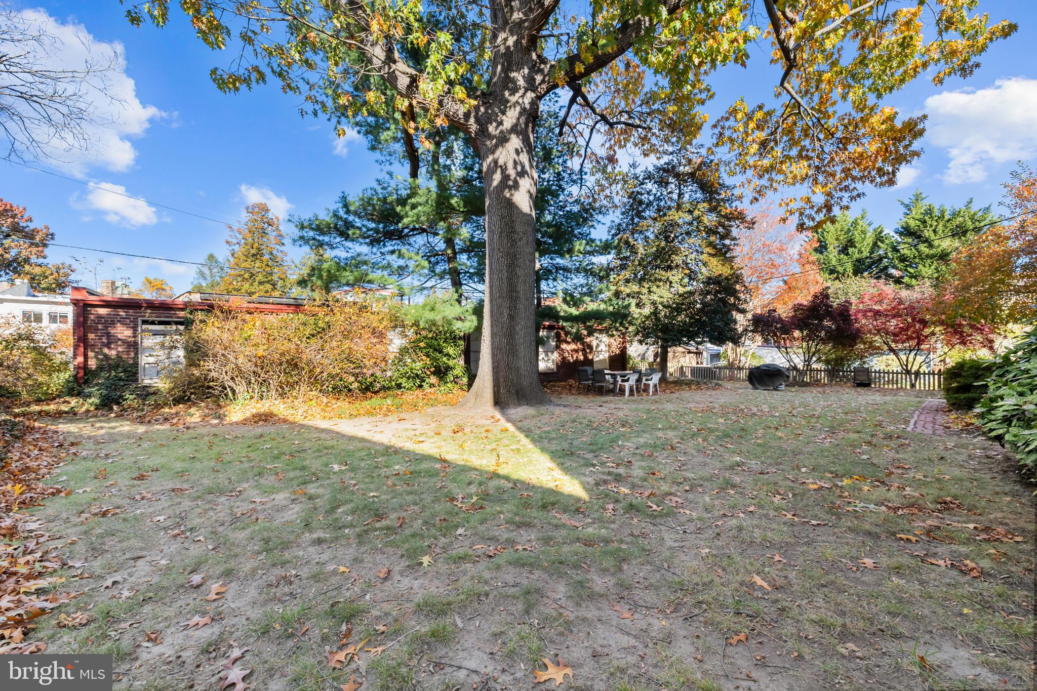 3001 Porter Street Northwest, Unit 100 Washington, DC 20008 - Photo 19 of 22 a view of road with trees
