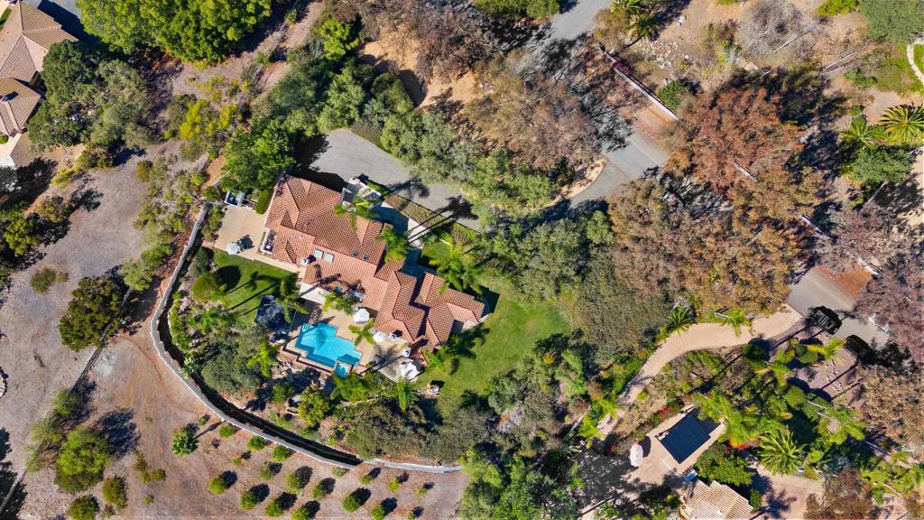 3427 Bumann Road Encinitas, CA 92024 - Photo 4 of 37 a picture of tree