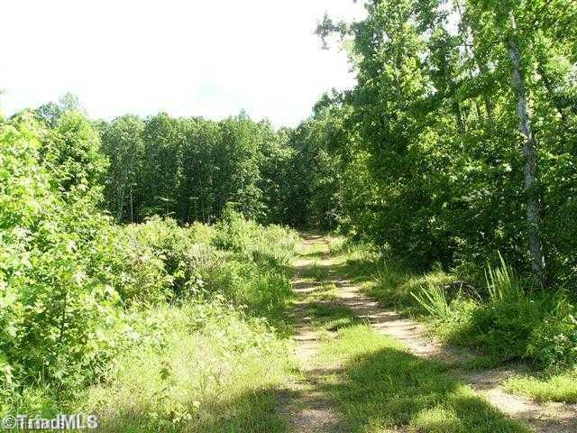 0 Hall Road Mayodan, NC 27027 - Photo 8 of 10 Land.