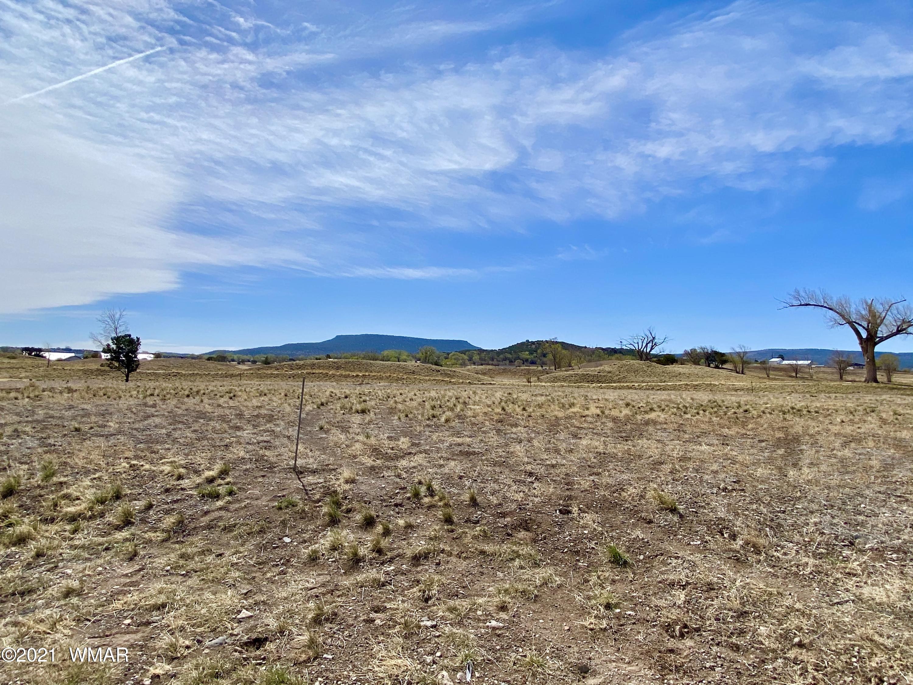 0 North Old Gristmill Road Eagar, AZ 85925 - Photo 2 of 4