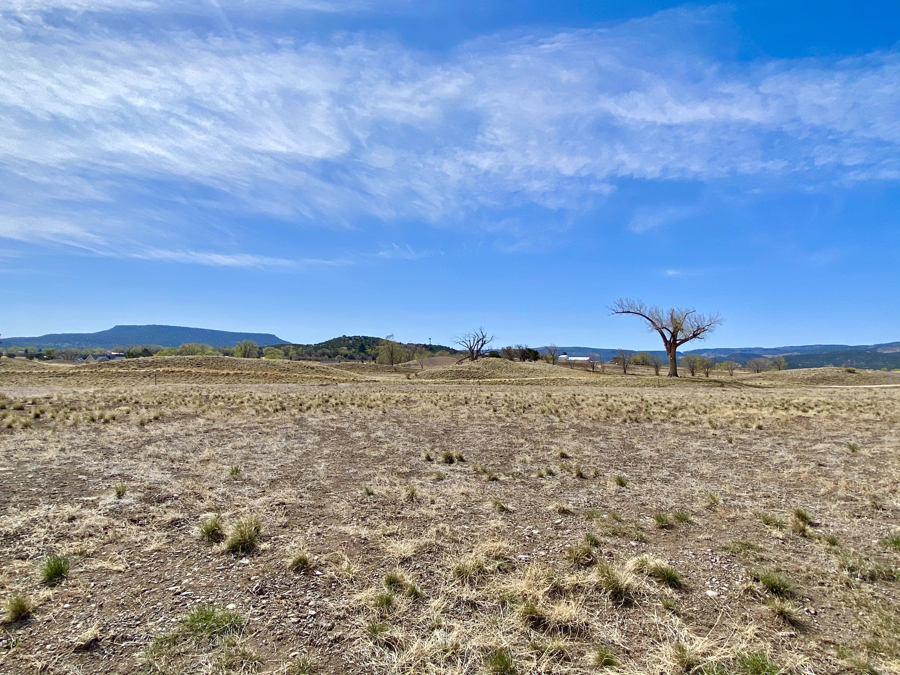 0 North Old Gristmill Road Eagar, AZ 85925 - Photo 4 of 4
