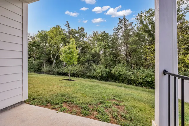 a view of a yard with a tree