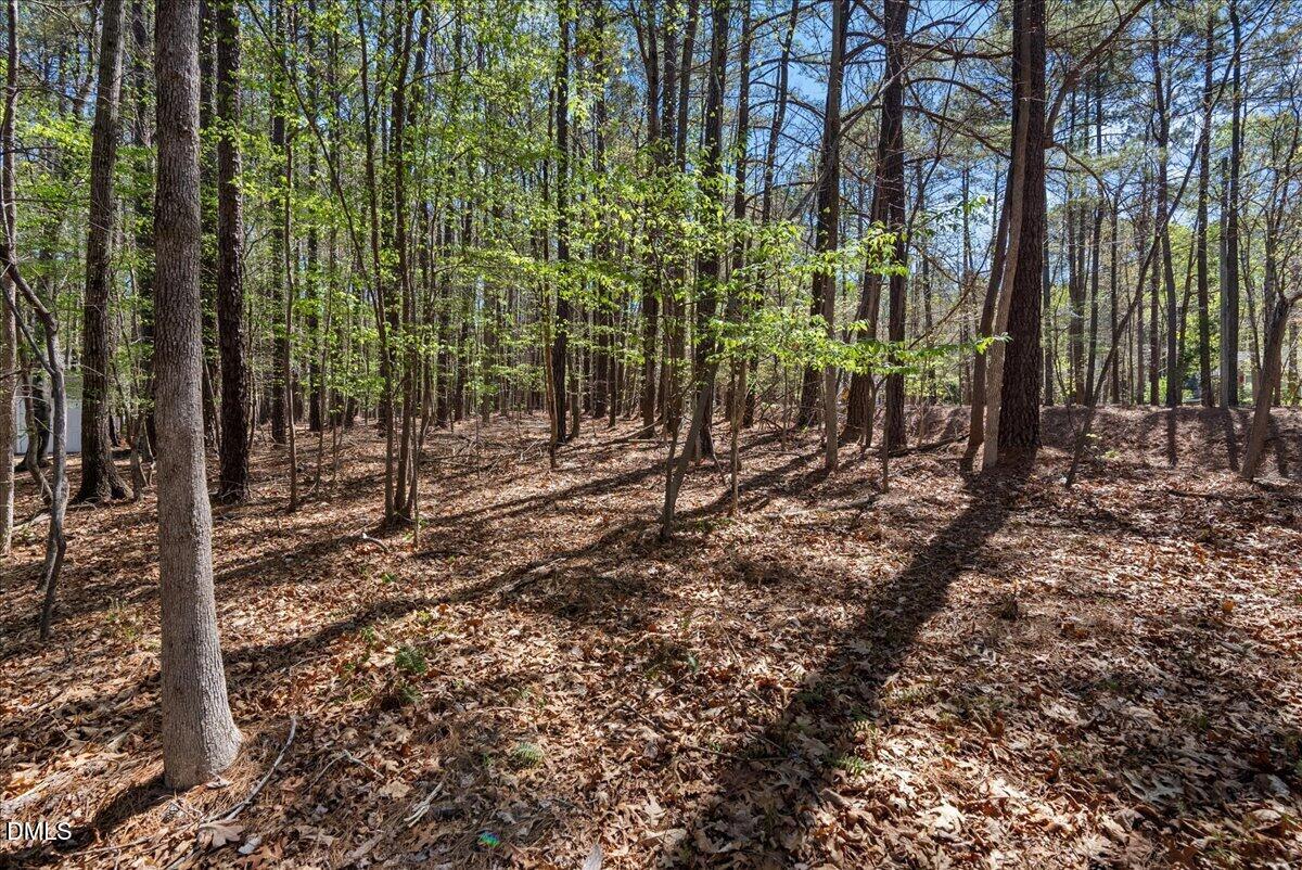 2509 Barton Ridge Court Raleigh, NC 27613 - Photo 55 of 67 69-DSC03663