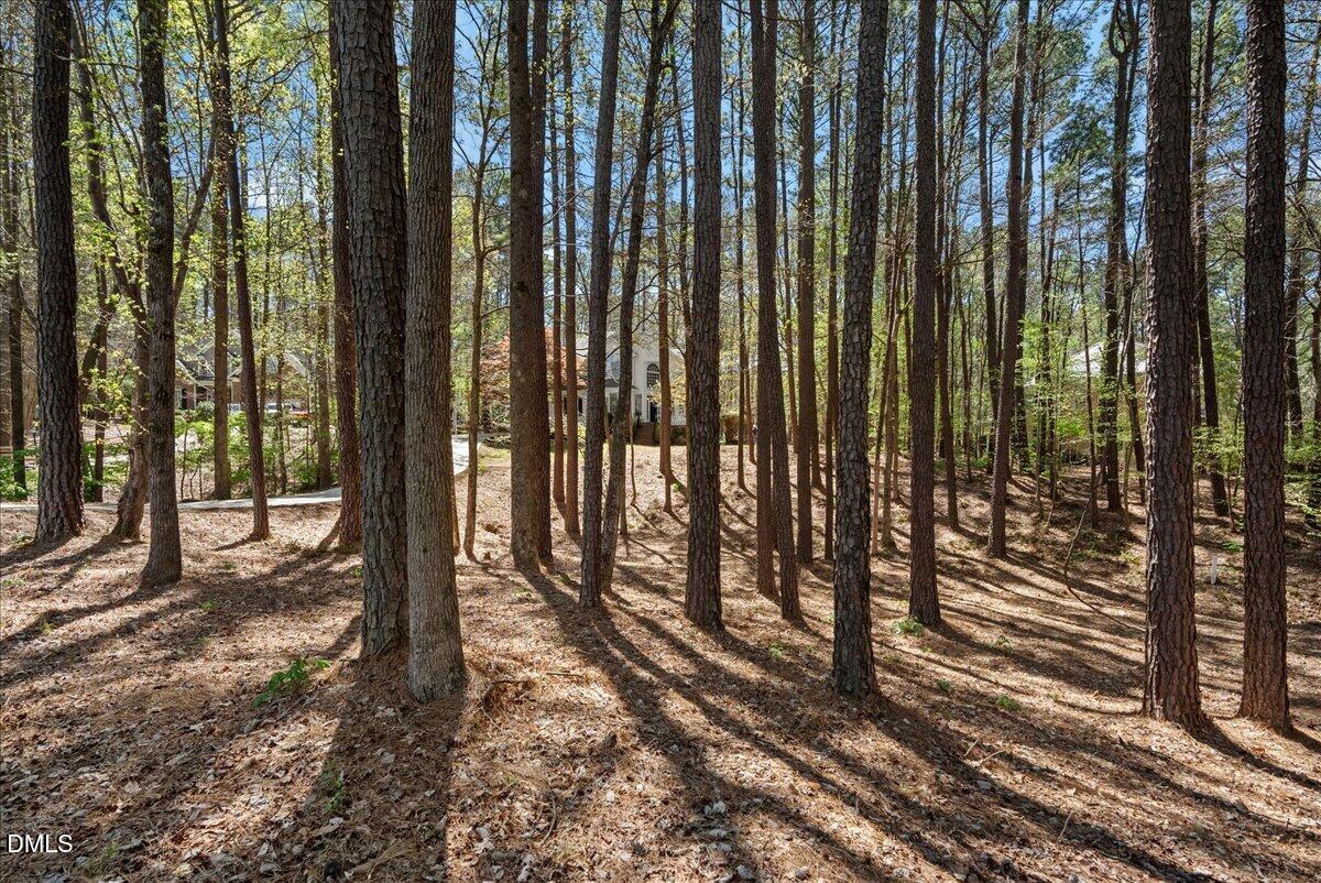 2509 Barton Ridge Court Raleigh, NC 27613 - Photo 57 of 67 71-DSC03675