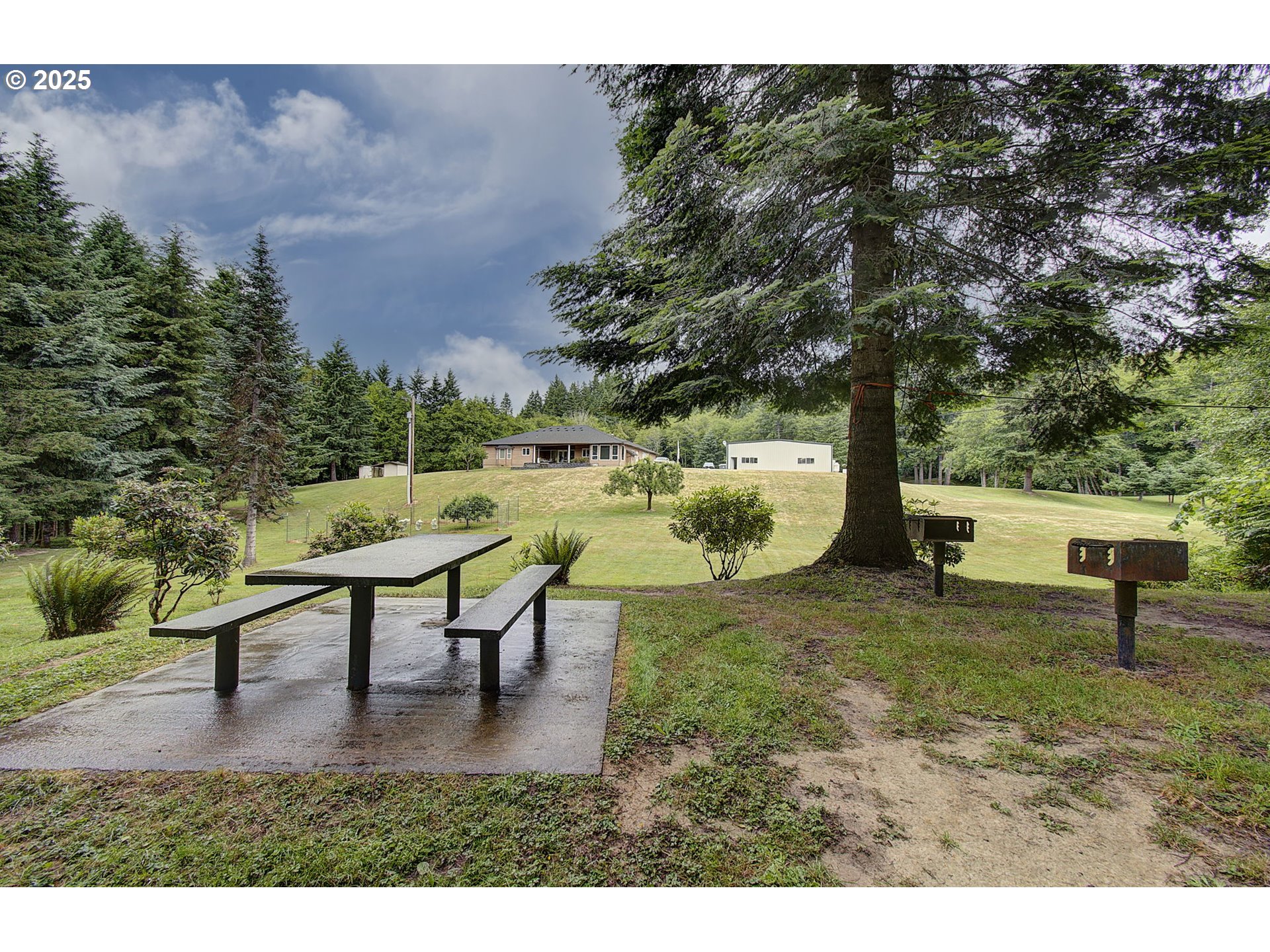 18229 Haven Acres Road Clatskanie, OR 97016 - Photo 42 of 45 a view of a yard with a bench